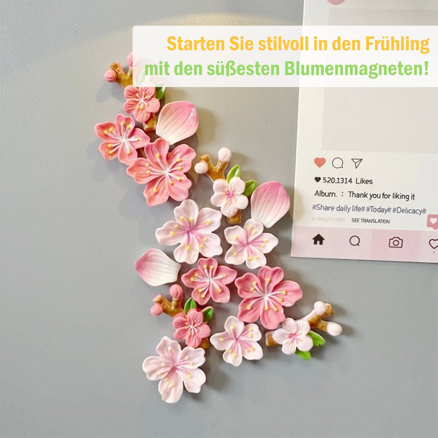 Refttenw Magnet Magnetischer Kühlschrankmagnet mit Pfirsichblütenmotiv,4/8/16 Stück (4-St)