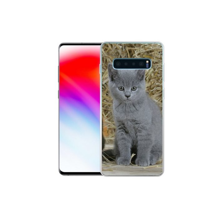 MuchoWow Handyhülle Zwei Britisch-Kurzhaar-Kätzchen mit Heu im Hintergrund Phone Case Handyhülle Samsung Galaxy S10+ Silikon Schutzhülle FN11465