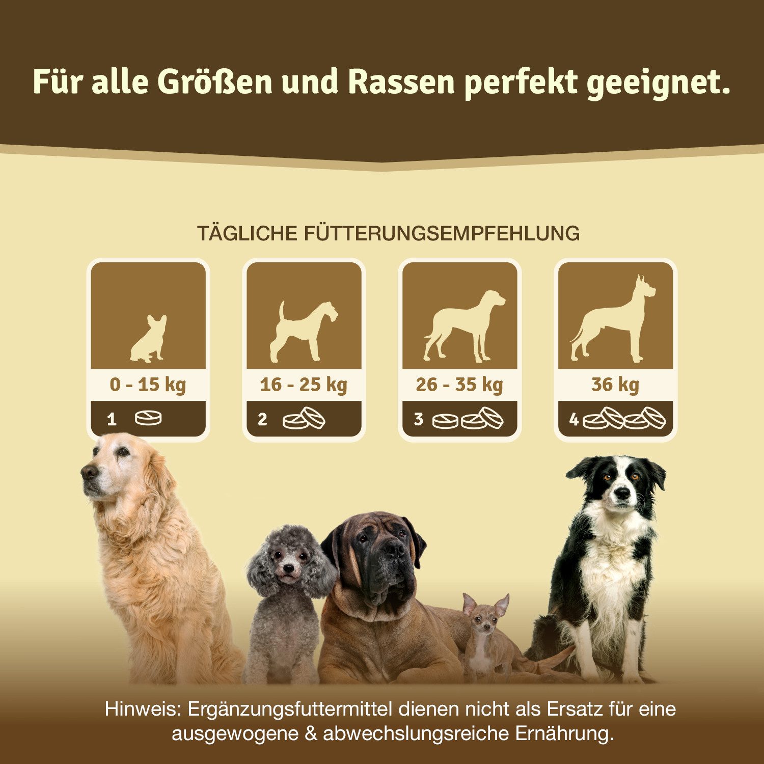 Veddelholzer Hunde Gelenktabletten mit Grünlippmuschel MSM & Teufelskralle, Nahrungsergänzungsmittel für: Hunde, Glucosamin & Kollagen 125 Kapseln Hunde Leckerlis