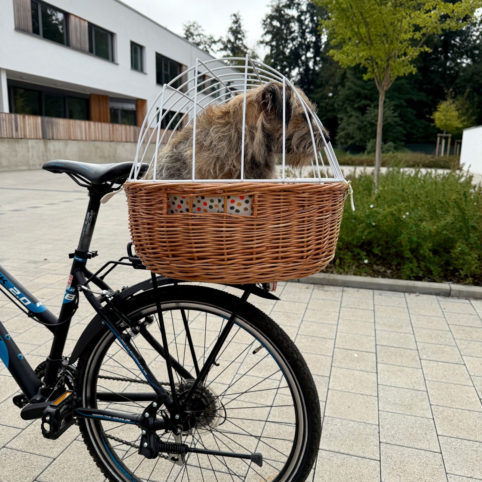 Aumüller Tierfahrradkorb Fahrrad-Tierkorb Gr. XL mit Polstereinlage, L: 68 cm, Gepäckträgerm...