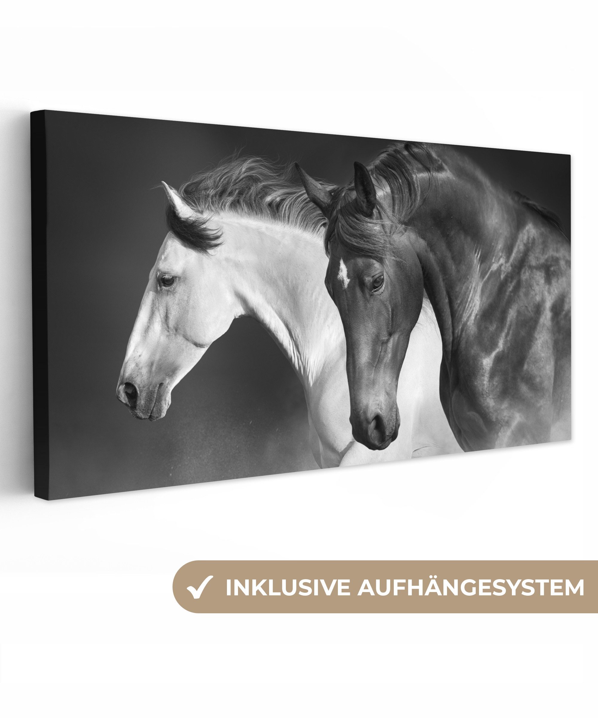 OneMillionCanvasses® Leinwandbild Panorama Pferde - Tiere - Schwarz - Weiß günstig online kaufen