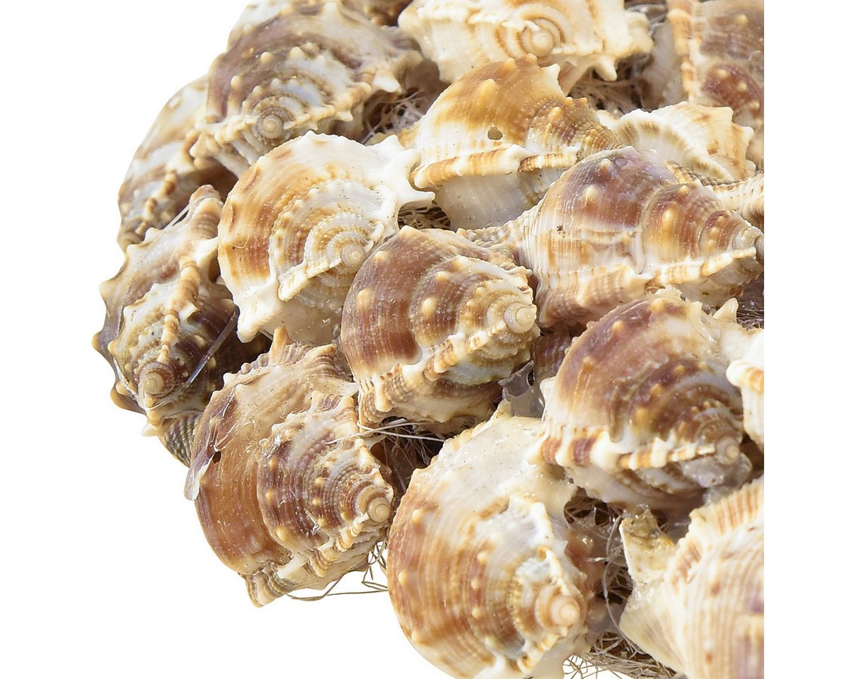 Thumbnail - Viana Bastelnaturmaterial Muschelkranz Deko-Kranz Natur Braun Maritime Wanddeko Kokos Ø24cm