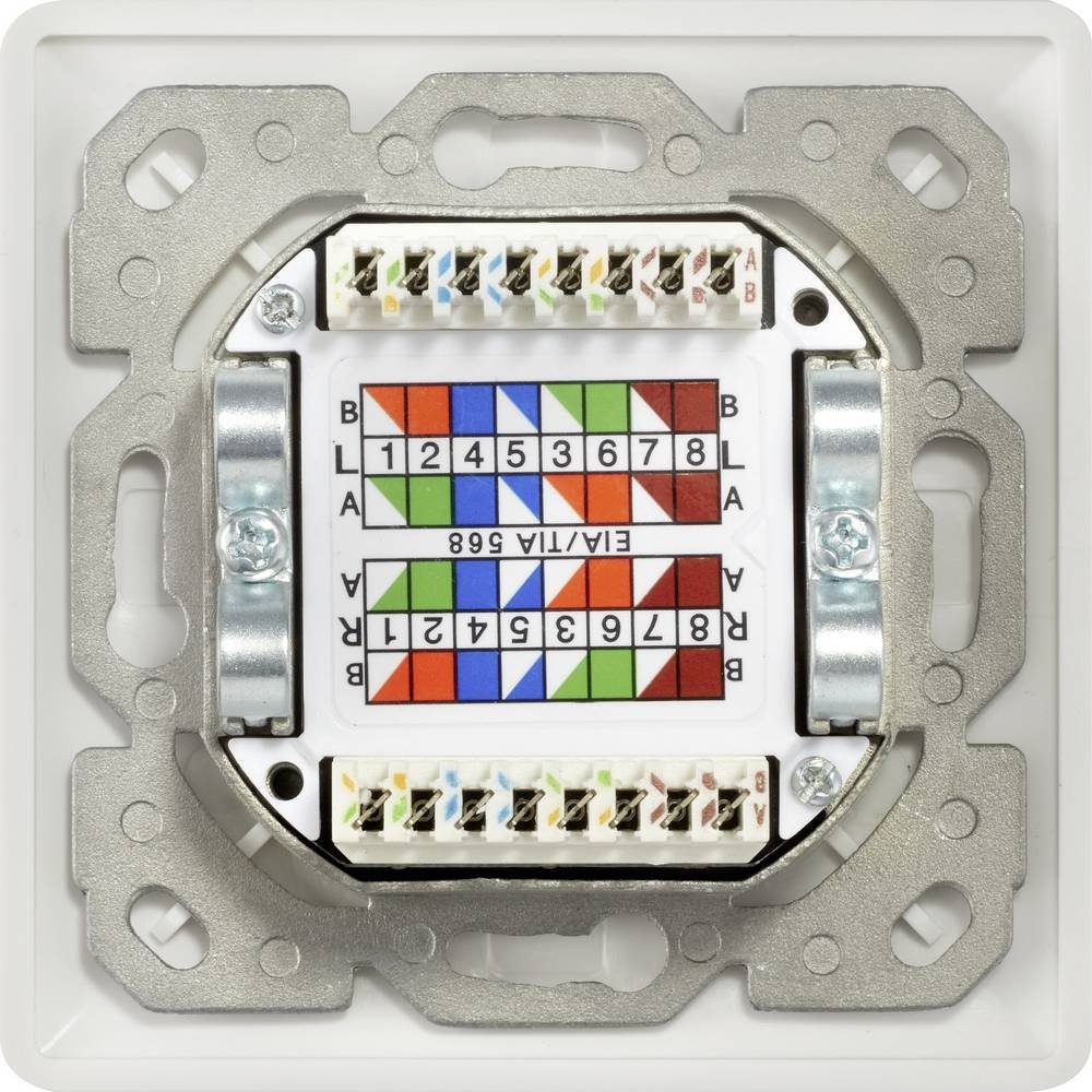 Renkforce 2 Port CAT 6a RAL9003 Unterputz-Netzwerkdose RF-4391320 Netzwerk-Adapter, Kompakt