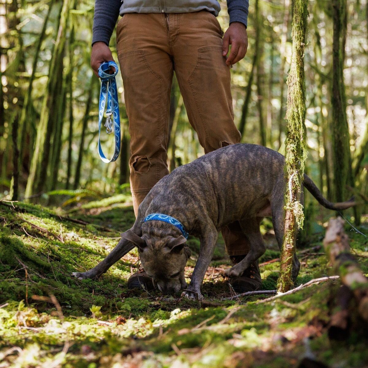 Ruffwear Hunde-Halsband Hundehalsband Crag Collar Midnight Wave