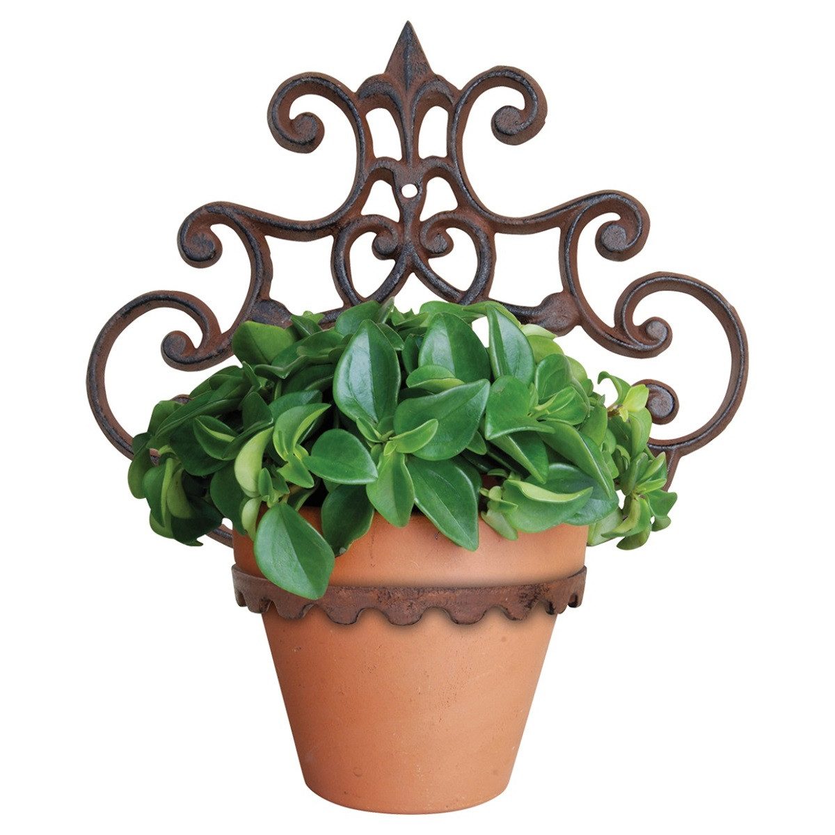 Linoows Pflanzkübel Blumentopf Wandhalter, Topfhänger, Wand günstig online kaufen
