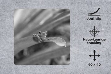 MuchoWow Gaming Mauspad Rotaugenmakakenfrosch unter Blättern in Costa Rica in schwarz-weiß (1-St), Mousepad mit Rutschfester Unterseite, Gaming, 40x40 cm, XXL, Großes