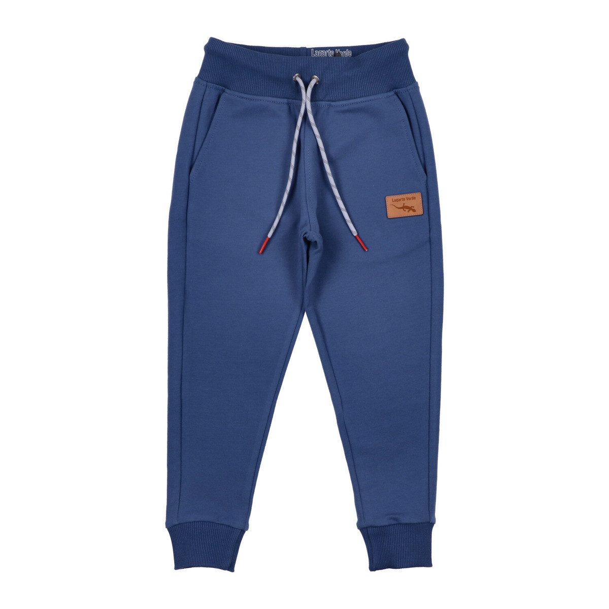 Sweathose Eidechse Unisex Kinder