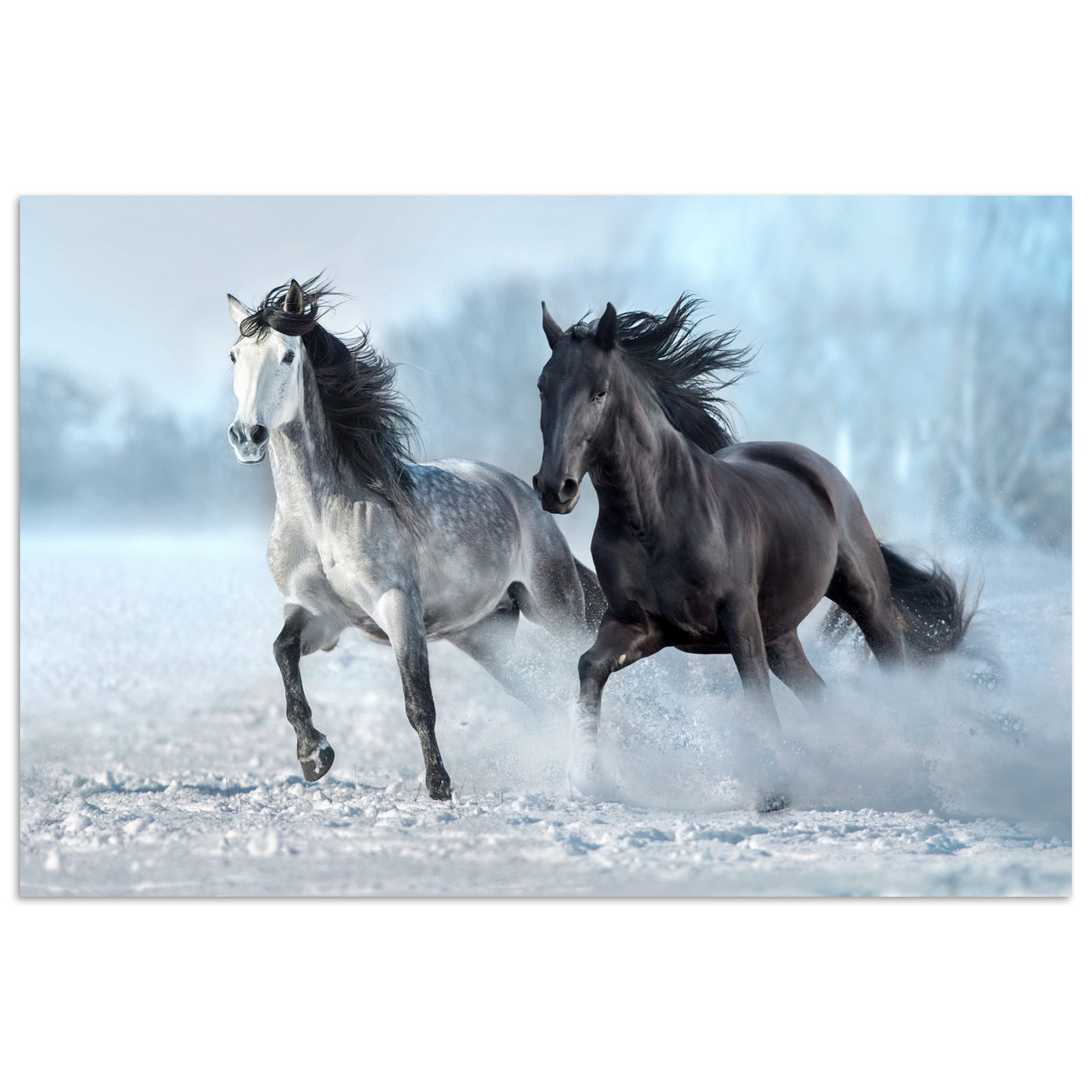 MuchoWow Poster Pferde - Winter - Tiere - Natur - Schnee, (1 St), Poster ohne Rahmen, Wandbild, Wandposter, 30x20 cm