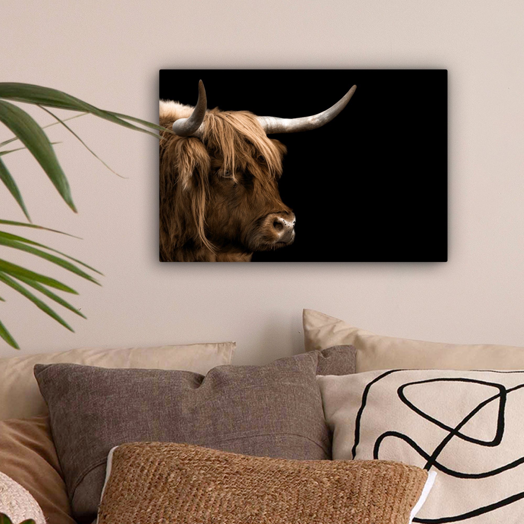 OneMillionCanvasses® Leinwandbild Schottischer Highlander - Tiere günstig online kaufen