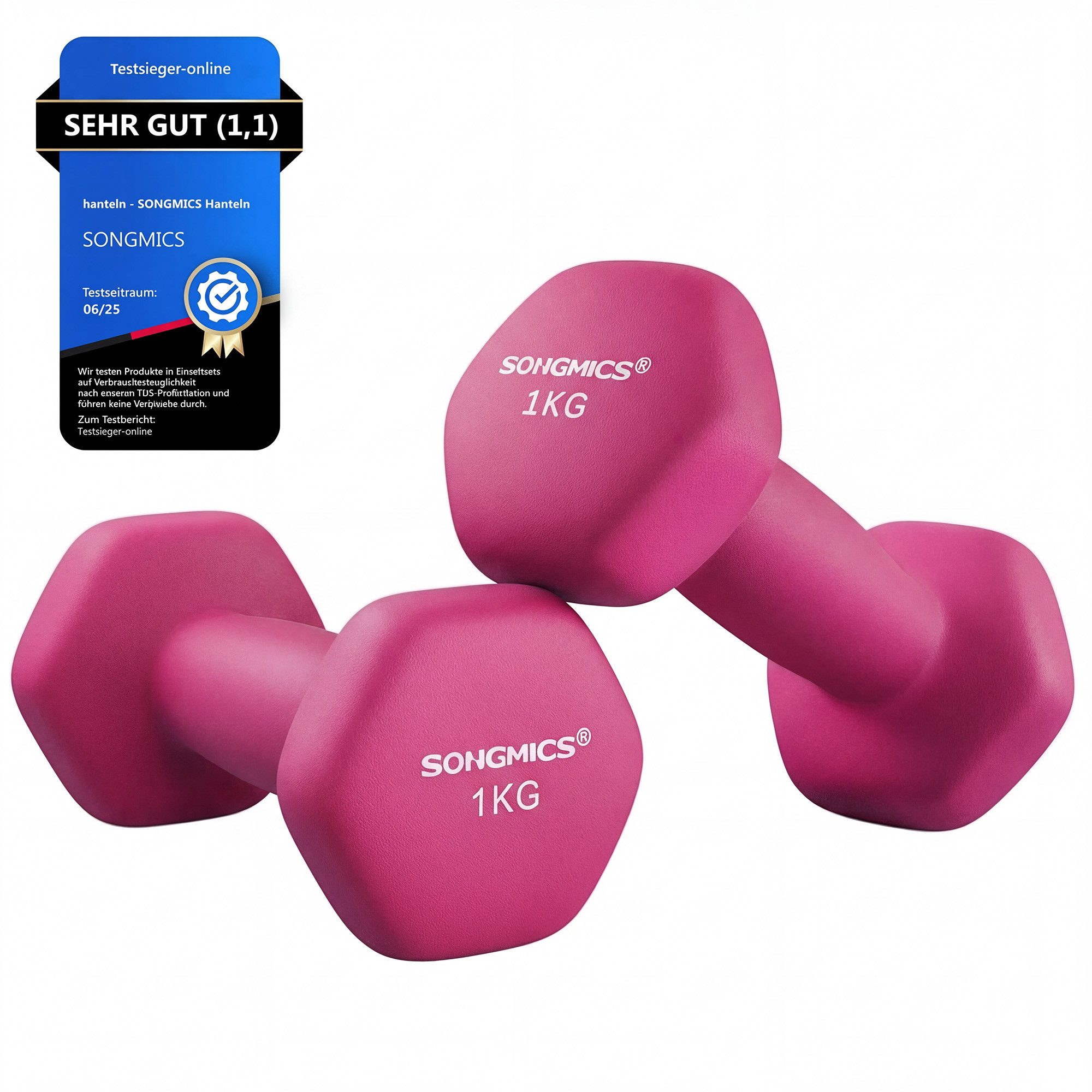 SONGMICS Kurzhantel Hantelset, Kurzhanteln, Hexagon, Neopren-Beschichtung, für Zuhause, (2er Set Neopren-Beschichtung, Hantelset, Kurzhanteln, Hexagon), 2 x 1 kg, Krafttraining, Workout, Fitnesstraining, für Zuhause
