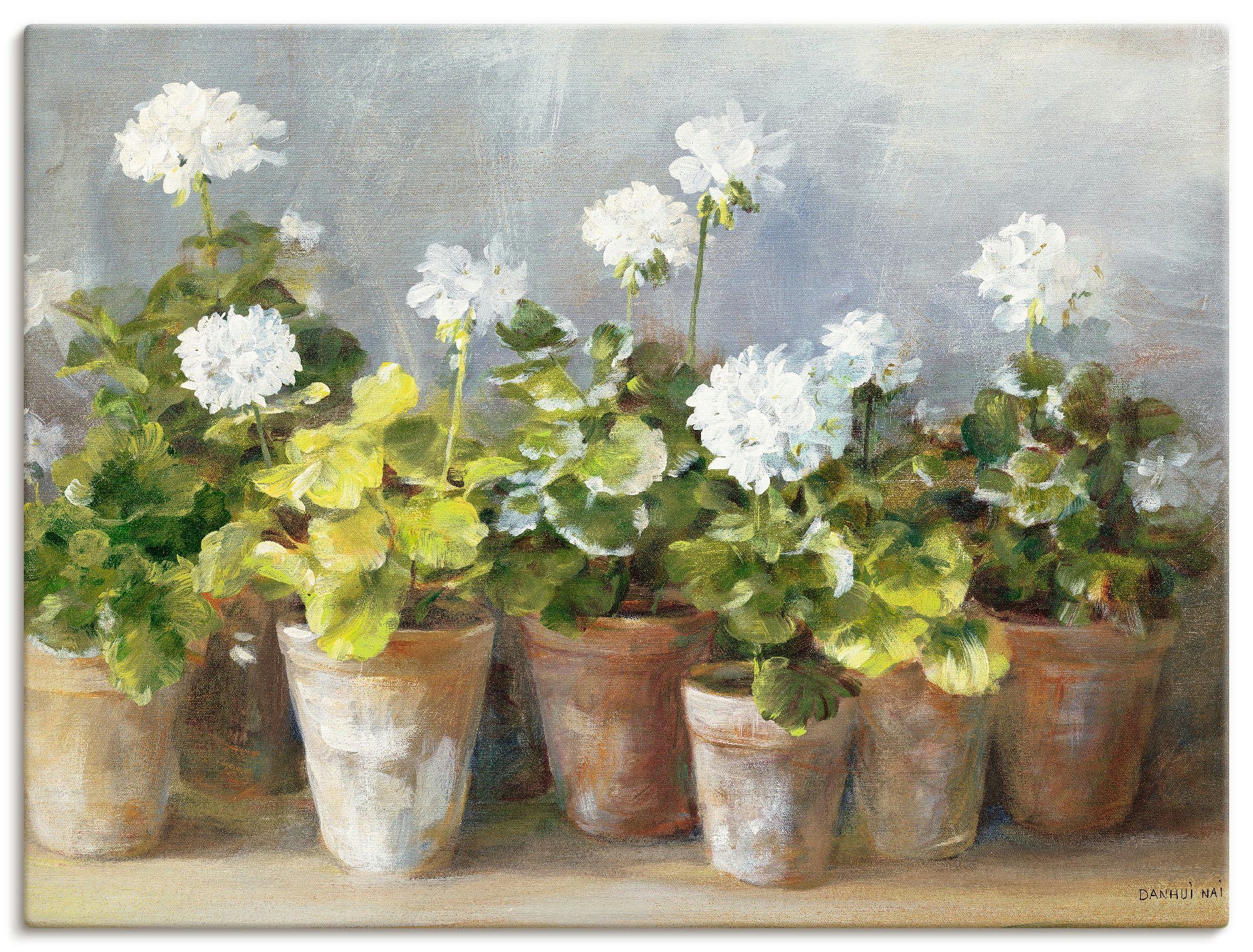 Artland Wandbild Weiße Geranien, Blumen (1 günstig online kaufen