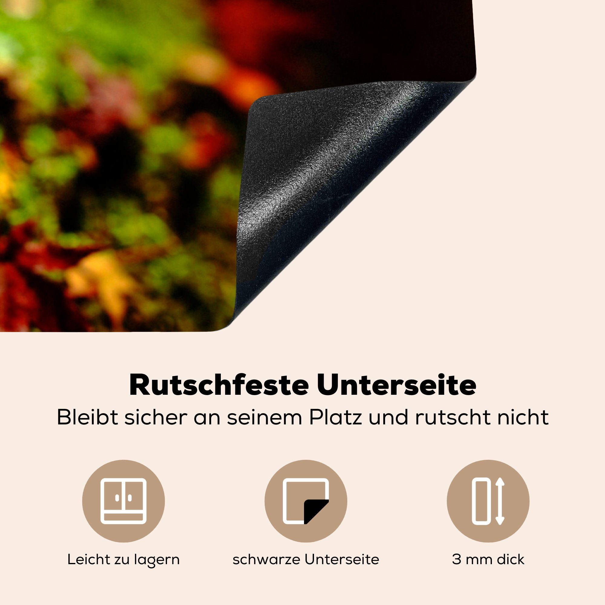 MuchoWow Herdblende-/Abdeckplatte Herbst - Laub - Moos, 81x52 Induktionskochfeld die Ceranfeldabdeckung Schutz Vinyl, küche, (1 tlg), cm, für