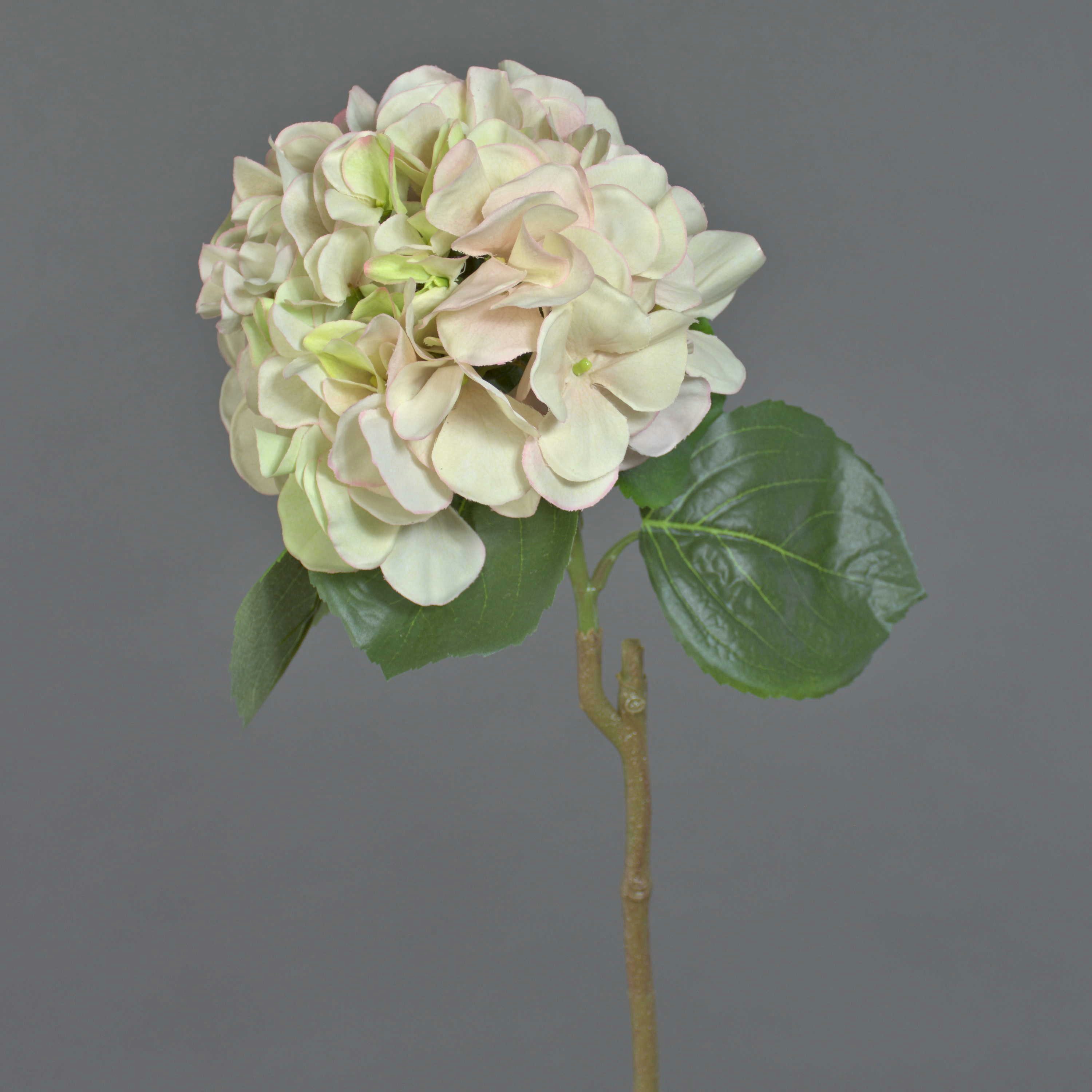 Kunstblume Künstliche Blume Hortensie CHIDORI, Creme Hortensie, artplants, Höhe 60.0 cm