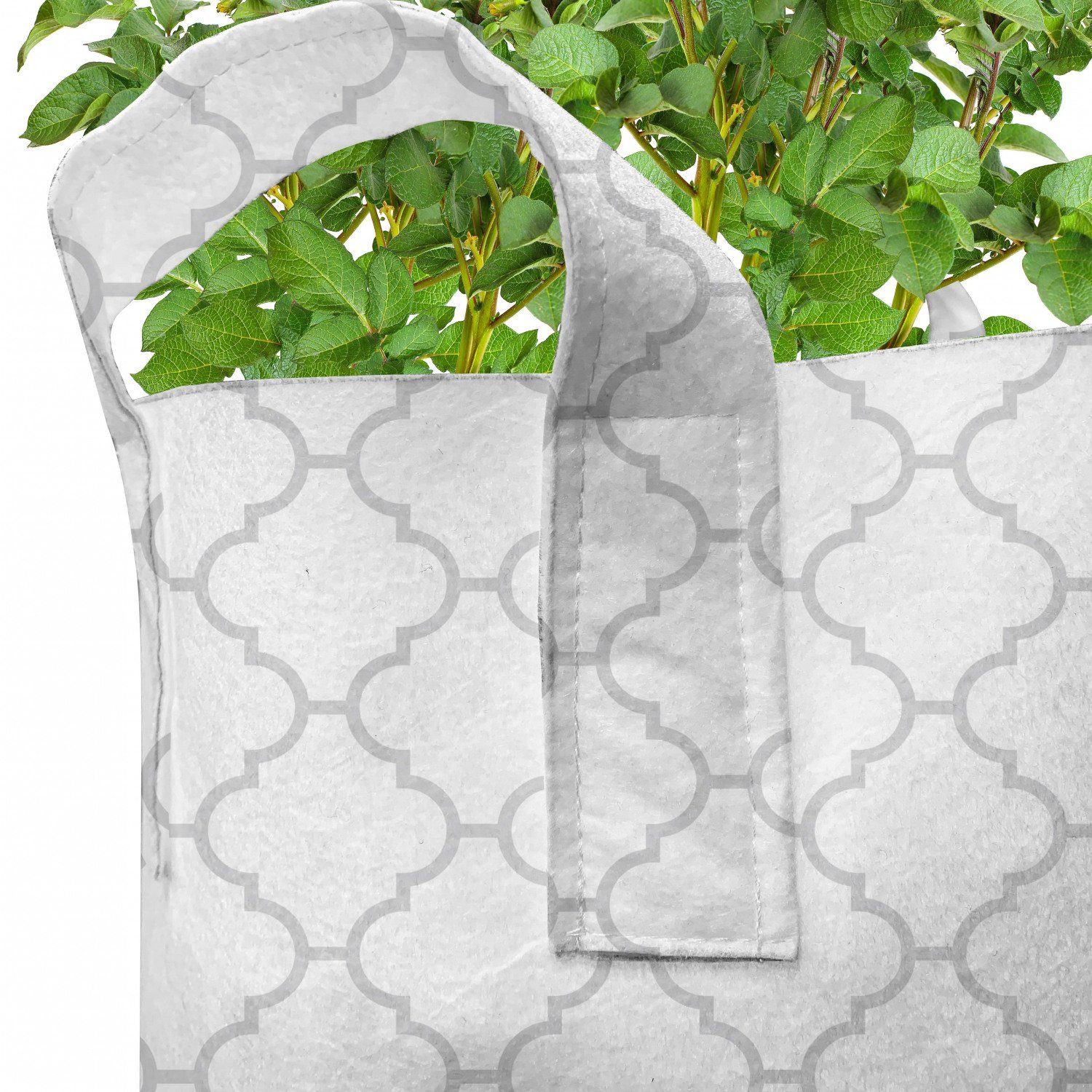 Monochrome-Damast-Muster Griffen Stofftöpfe hochleistungsfähig mit Pflanzen, Grau Pflanzkübel Abakuhaus für