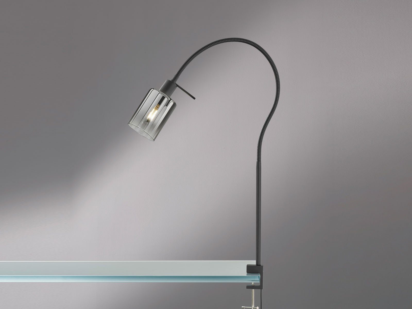 FISCHER & HONSEL LED Klemmleuchte, LED günstig online kaufen