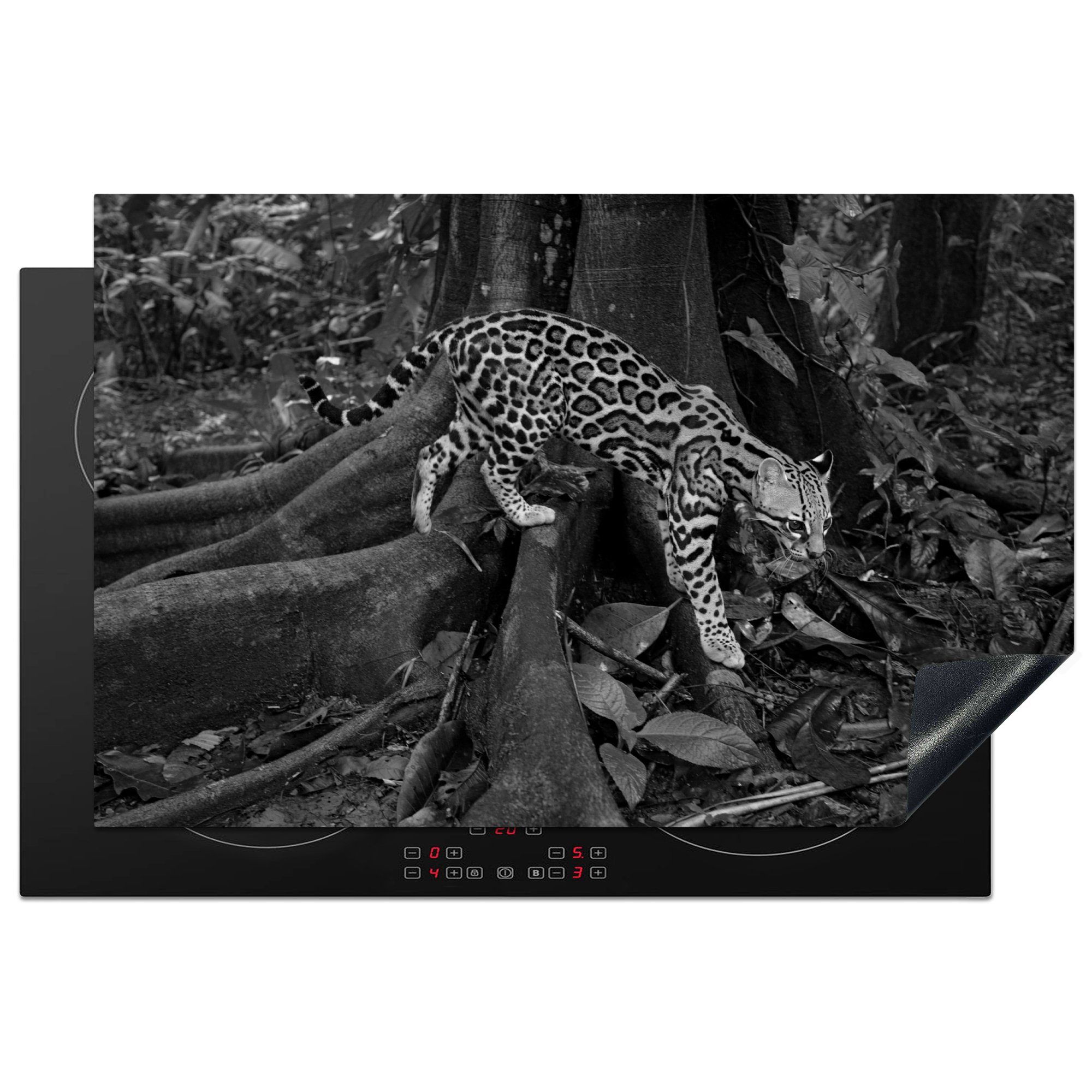 MuchoWow Herdblende-/Abdeckplatte Ozelot im Dschungel von Costa Rica in Schwarz und Weiß, Vinyl, (1 tlg), 81x52 cm, Induktionskochfeld Schutz für die küche, Ceranfeldabdeckung