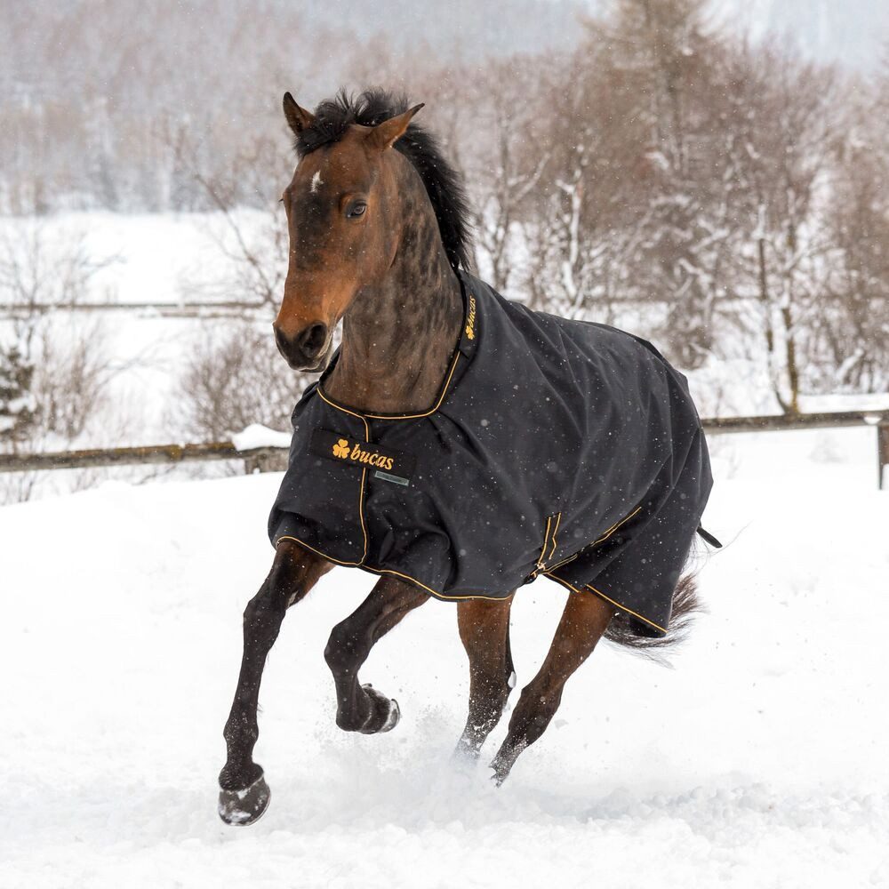 Bucas Pferde-Regendecke Bucas Irish Turnout 0g
