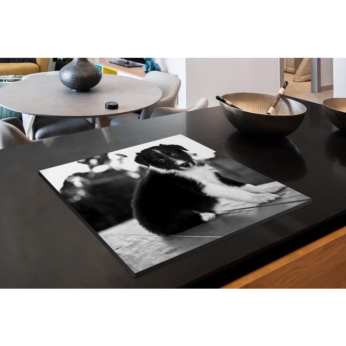 MuchoWow Herdblende-/Abdeckplatte Border Collie Welpe sitzt auf einem Tisch - schwarz und weiß Vinyl (1 tlg) Mobile Arbeitsfläche nutzbar Ceranfeldabdeckung ZR10844