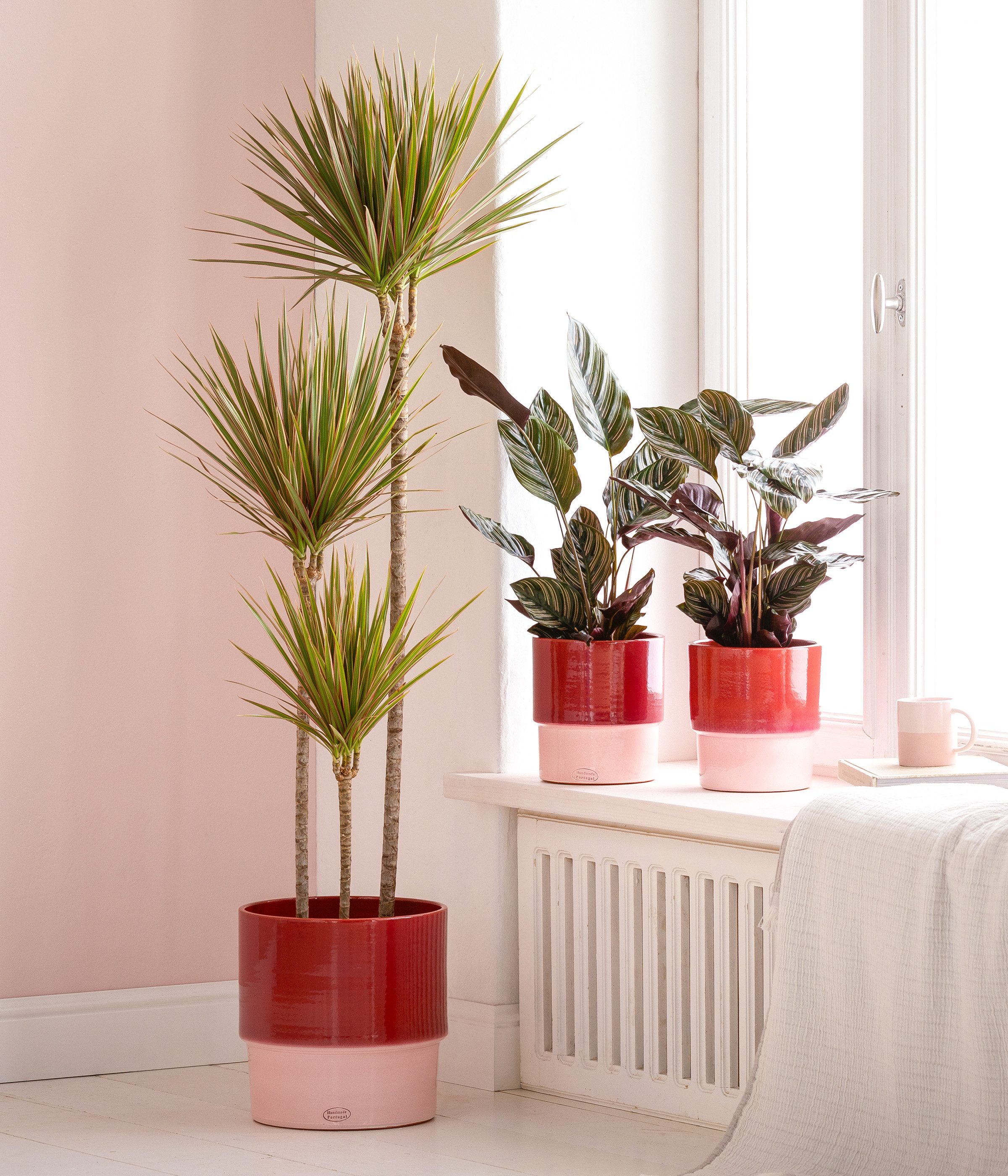 Dehner Übertopf Anne, rund, Keramik, zweifarbig glasiert, handgefertigter Indoor Blumentopf in modernen Farben