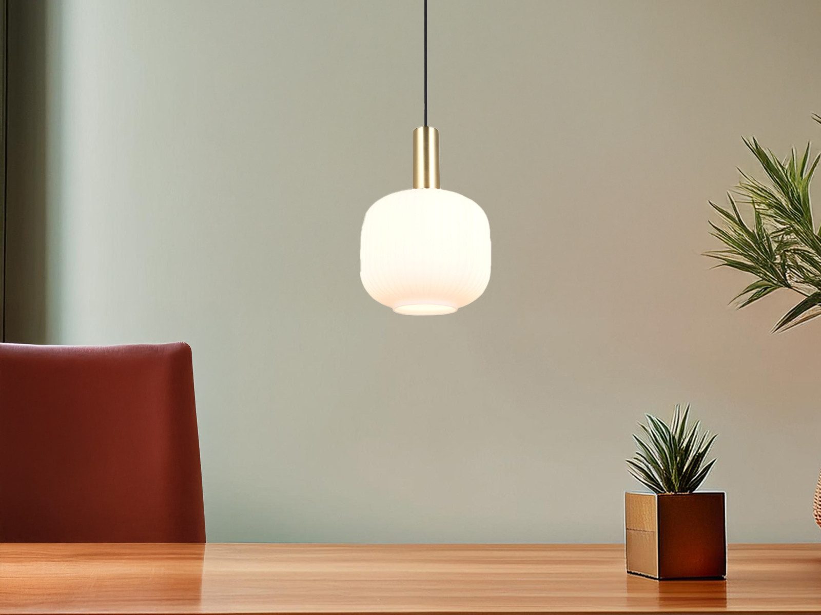 TRIO Leuchten LED Pendelleuchte, Dimmfunktion, LED günstig online kaufen
