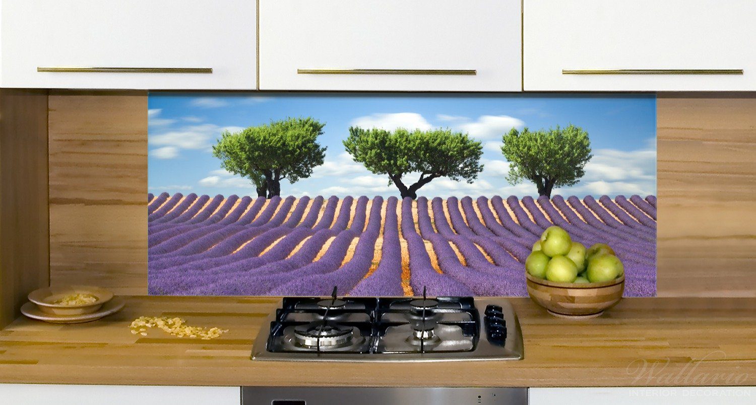 Blumenfeld mit Abstraktes lila (1-tlg) Lavendel, Wallario Küchenrückwand