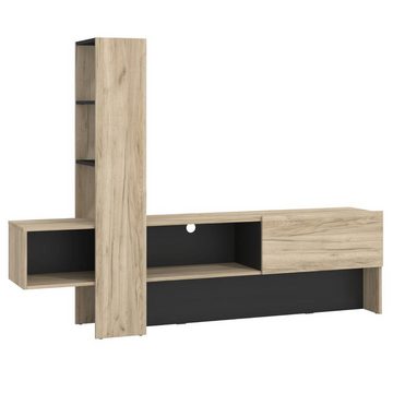 Homestyle4u TV-Board TV-Schrank Holz Grau Natur Lowboard Unterschrank Sideboard Fernsehschr (Wohnwand komplett)