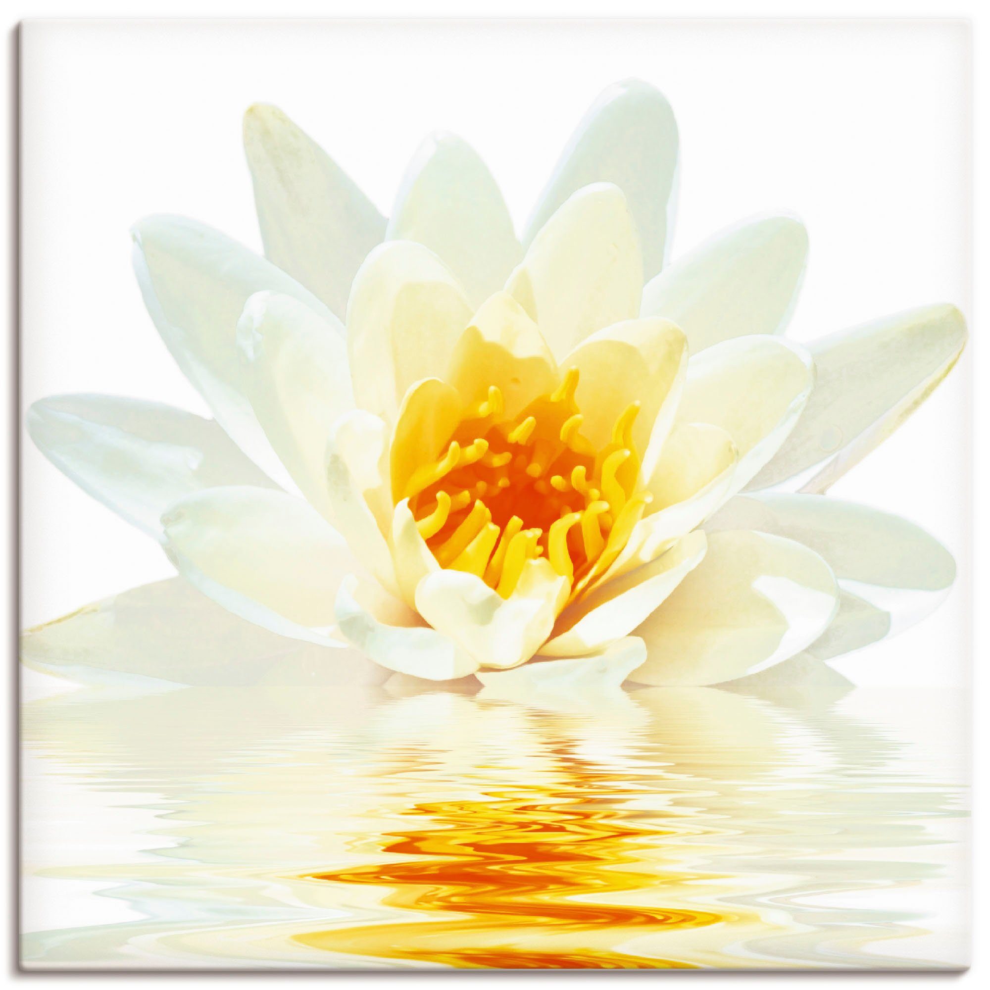 Artland Leinwandbild Lotusblume schwimmt im Wasser, Blumen (1 St), auf Holzrahmen gespannt
