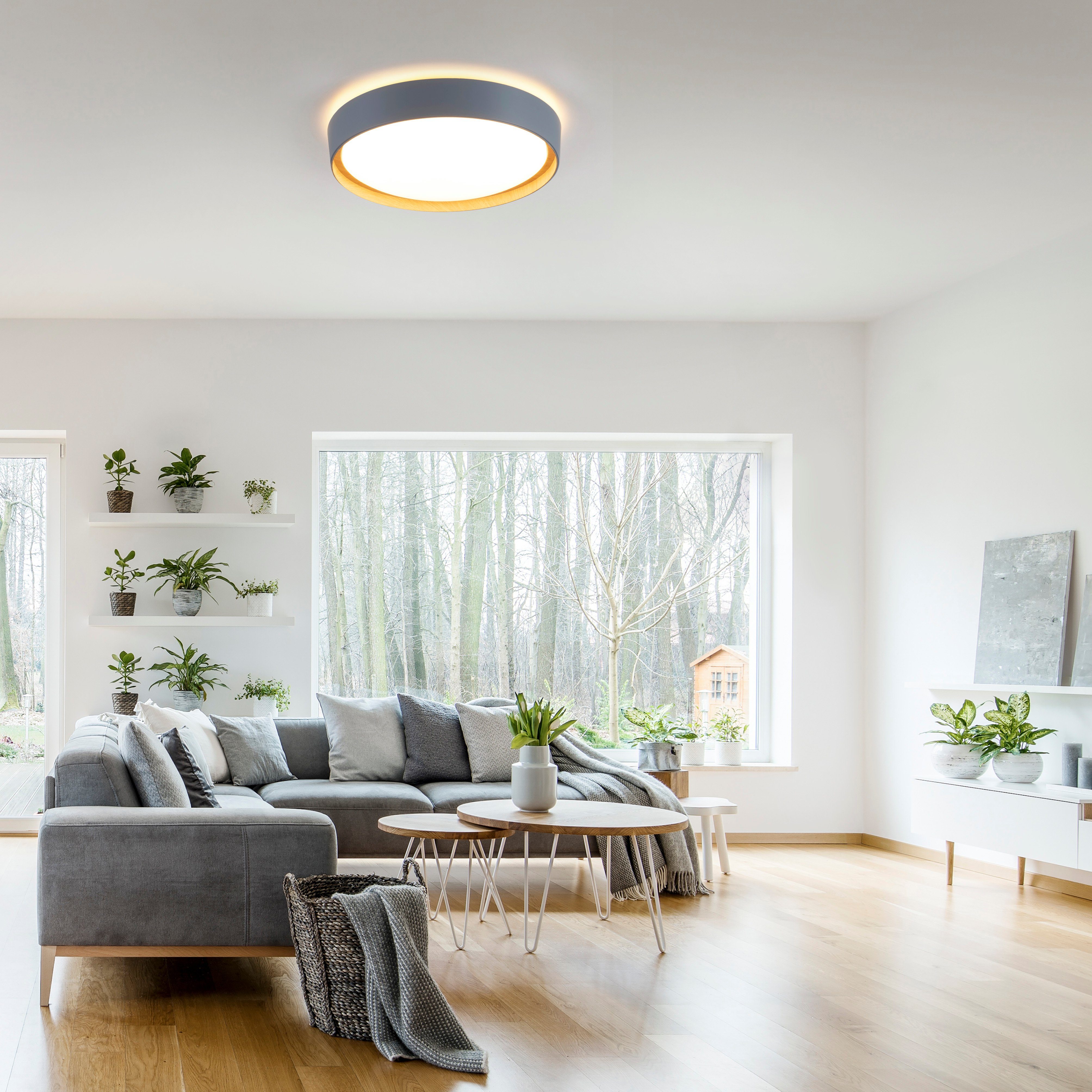 Leuchten Direkt EMILIA, Deckenleuchte integriert, LED Switchmo Warmweiß, dimmbar, LED, fest