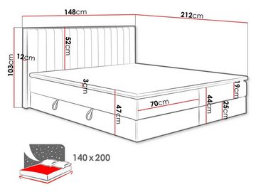 MIRJAN24 Boxspringbett Harmony (Matratze und Topper), Polsterbett mit zwei Bettkästen, Doppelbett