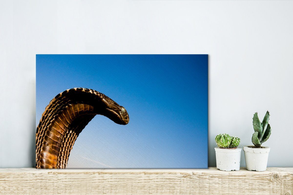 Himmel, Wandbild OneMillionCanvasses® mit Aufhängefertig, (1 cm 30x20 St), Leinwandbild Wanddeko, Cobra-Schlange Leinwandbilder, blauem