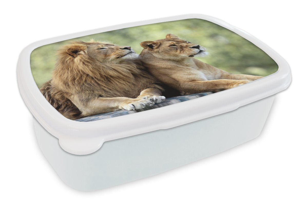 MuchoWow Lunchbox Wildtiere - Natur - Liebe, Kunststoff, (2-tlg), Brotbox für Kinder und Erwachsene, Brotdose, für Jungs und Mädchen weiß