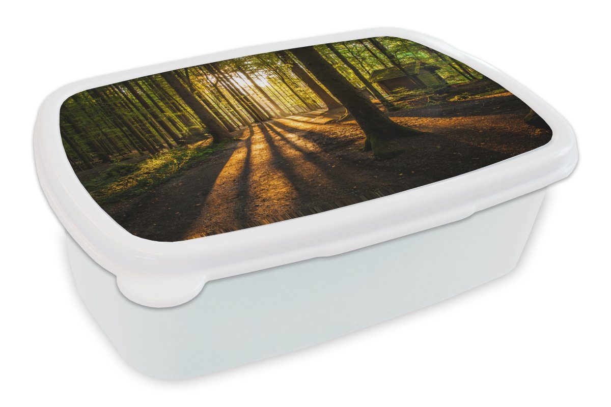 MuchoWow Lunchbox Sonne - - Erwachsene, - Natur, (2-tlg), Landschaft und - für für Kunststoff, weiß Jungs und Brotdose, Mädchen Wald Bäume Brotbox Kinder