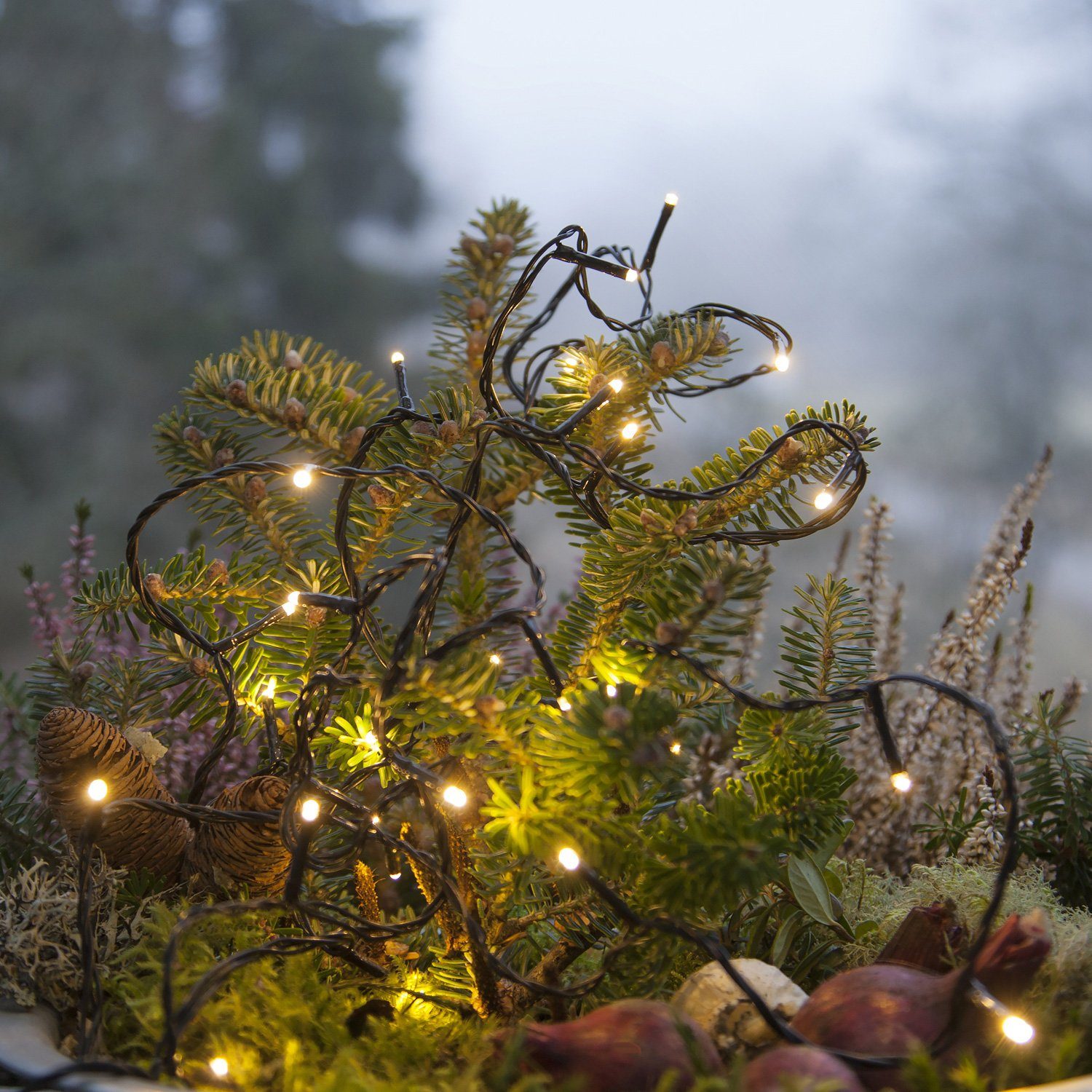 SATISFIRE LED-Lichterkette LED Lichterkette Weihnachten 10 warmweiße LED Batterie 1,5m innen, 10-flammig