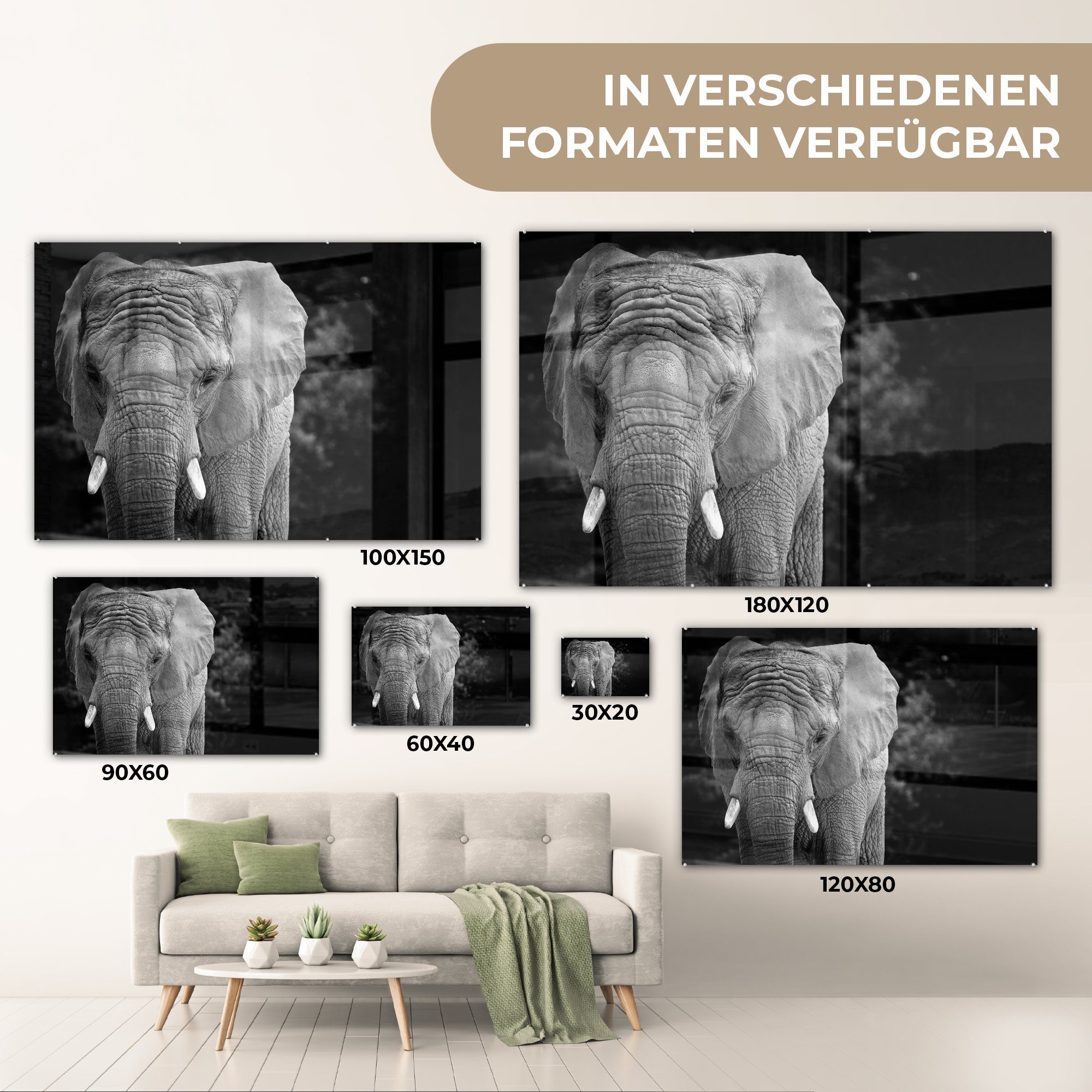 St), Elefanten Schlafzimmer bunt Wohnzimmer und Acrylglasbild MuchoWow eines in Porträt Acrylglasbilder Schwarz (1 & Weiß,