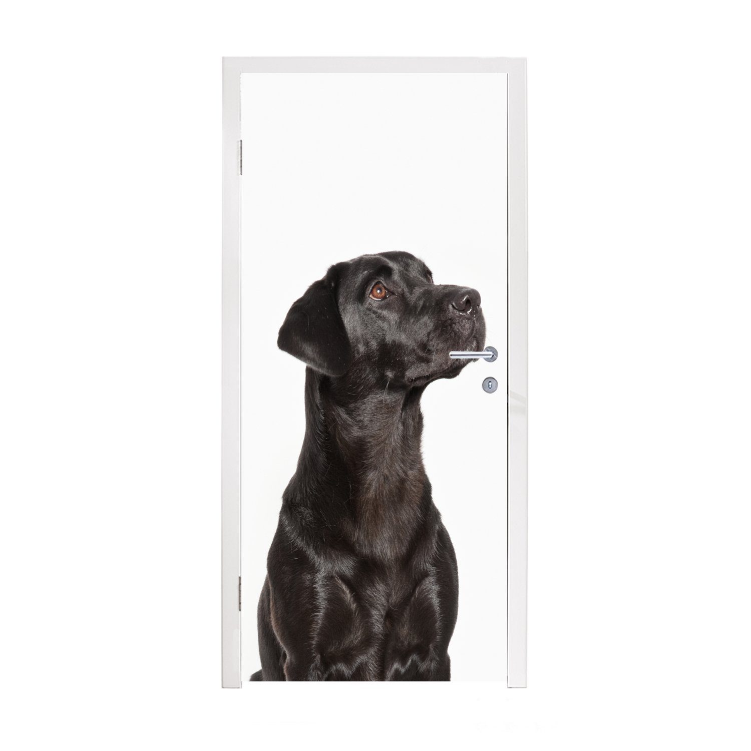 MuchoWow Türtapete Hunde schauen auf, Matt, bedruckt, (1 St), Fototapete für Tür, Türaufkleber, 75x205 cm
