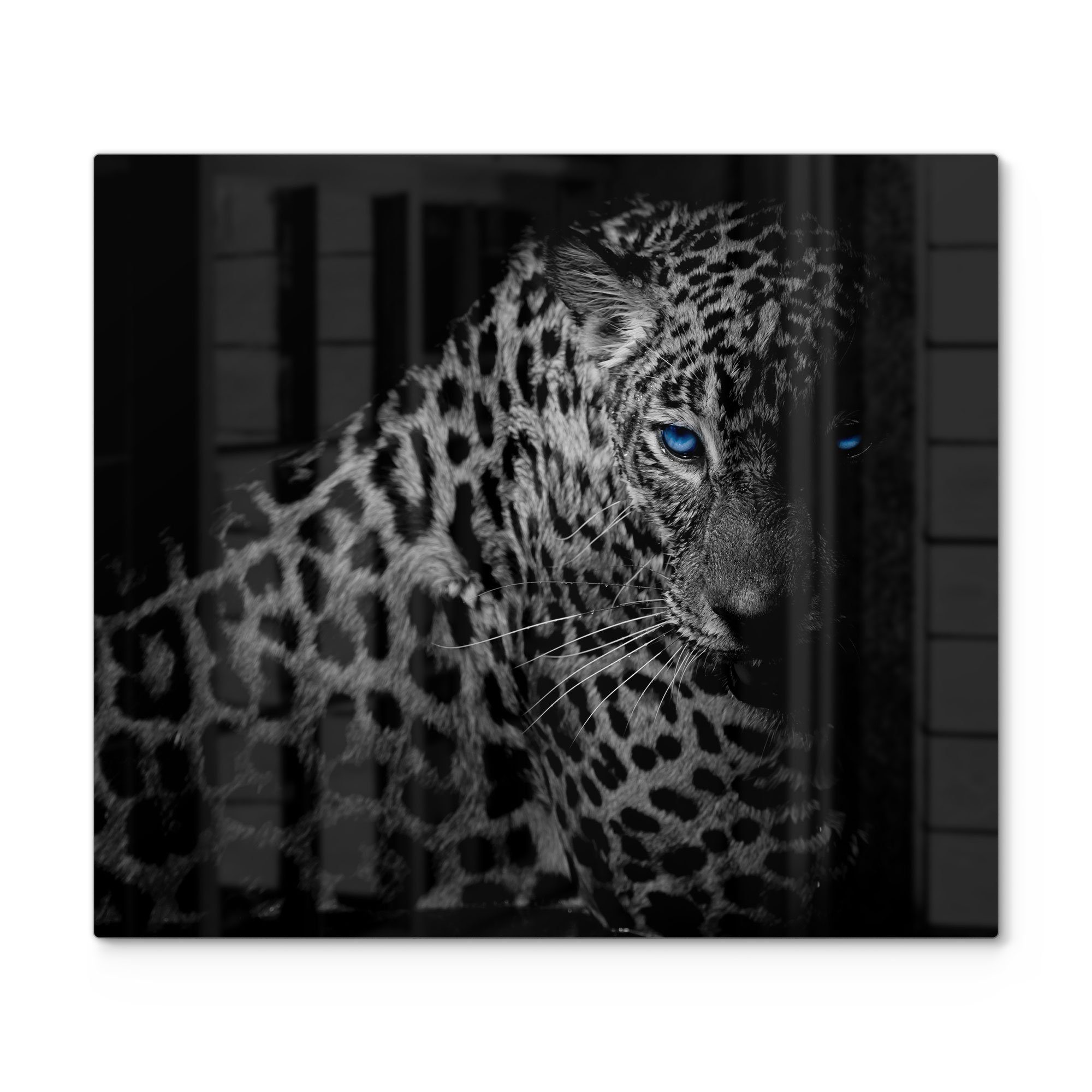 DEQORI Herdblende-/Abdeckplatte 'Leopard mit blauen Augen', Glas, (1 tlg), Glas Herdabdeckplatte Ceranfeld Herd | Herdabdeckplatten