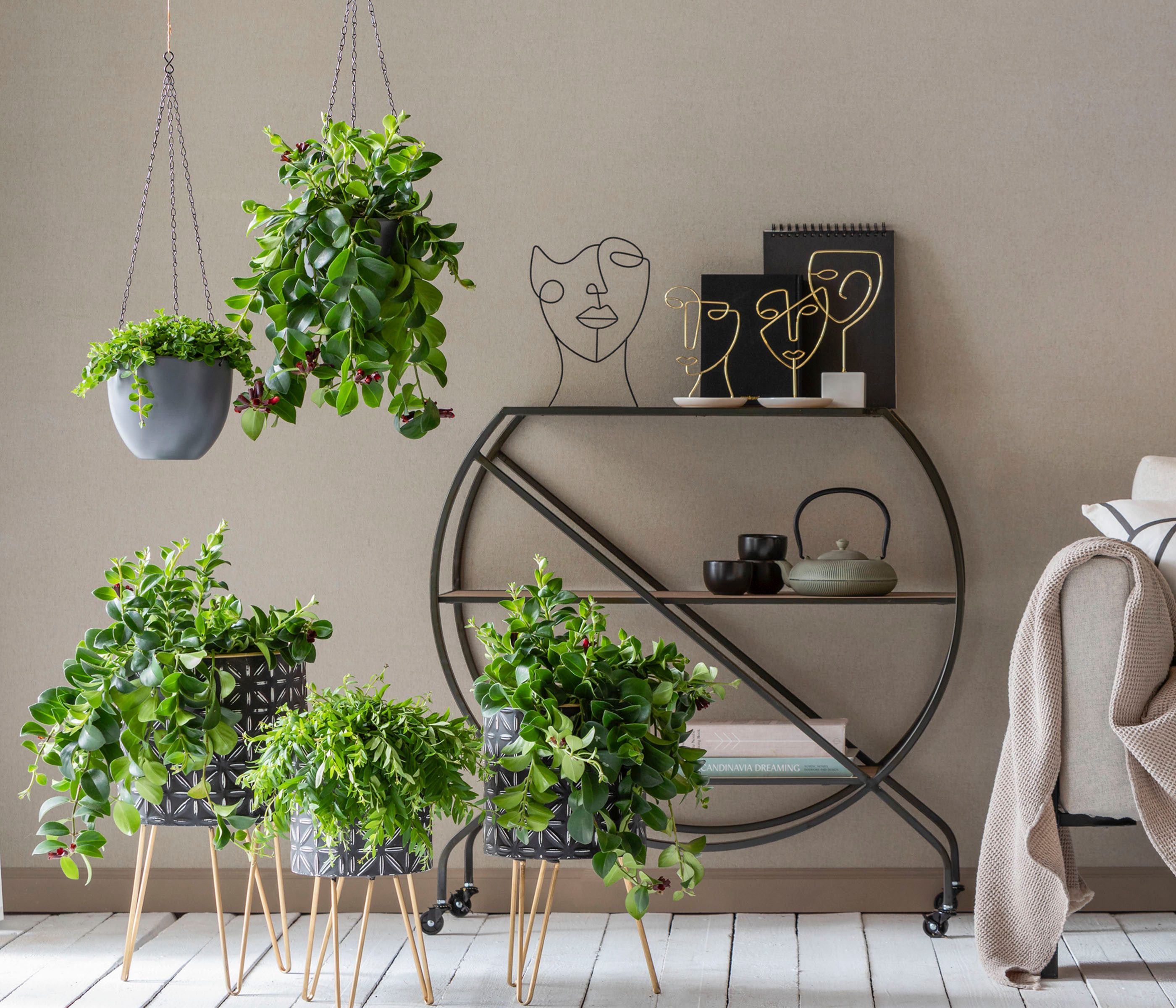 Dehner Blumenampel Hängeampel, glasierte Keramik, moderne Blumenampel, Indoor und Outdoor