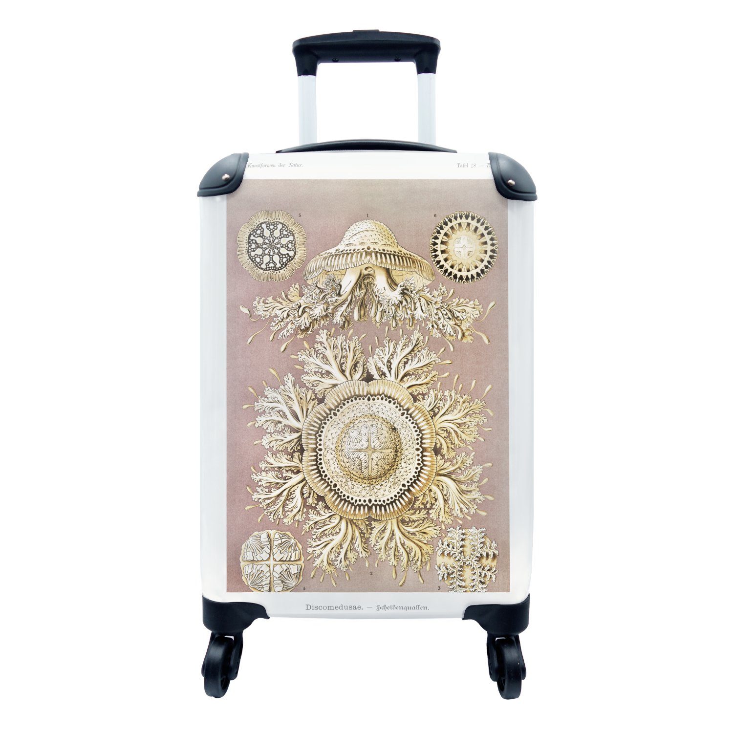 Qualle Ferien, MuchoWow für - Trolley, mit - Ernst Reisekoffer 4 Handgepäckkoffer Jahrgang Reisetasche Kunst, Rollen, Handgepäck Haeckel - rollen,