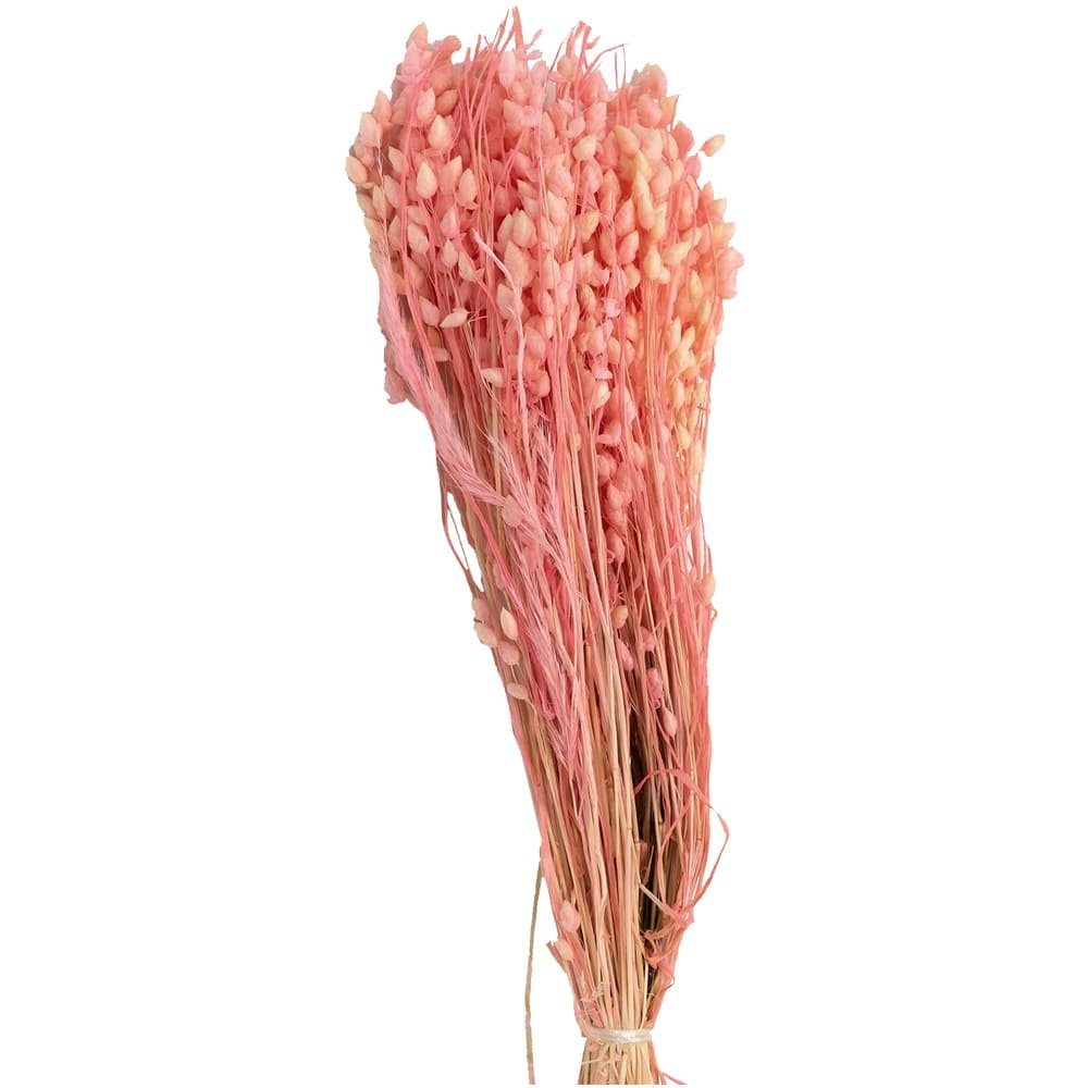 Kunstblume Briza Maxima Zittergras Trockenblume Natur gebleicht-rosa Zittergras, matches21 HOME & HOBBY, Höhe 0 cm | Kunstblumen