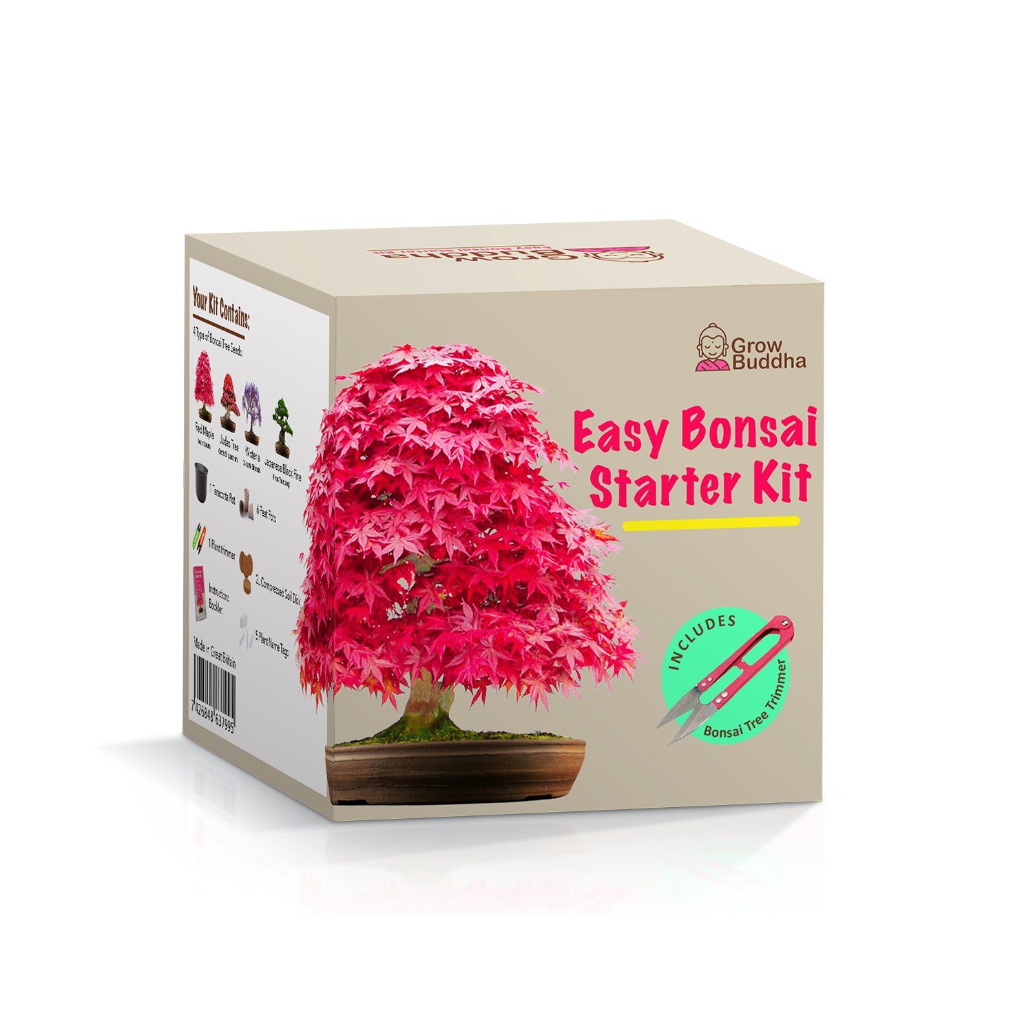 Grow Buddha Blumenerde »Bonsai-aufzucht-Set - die geniale Geschenkidee -  Züchte einfach 4 Arten von Bonsai-Bäumen mit unserem kompletten,  anfängerfreundlichen Starter-Samen-Set«, (1-St) online kaufen | OTTO