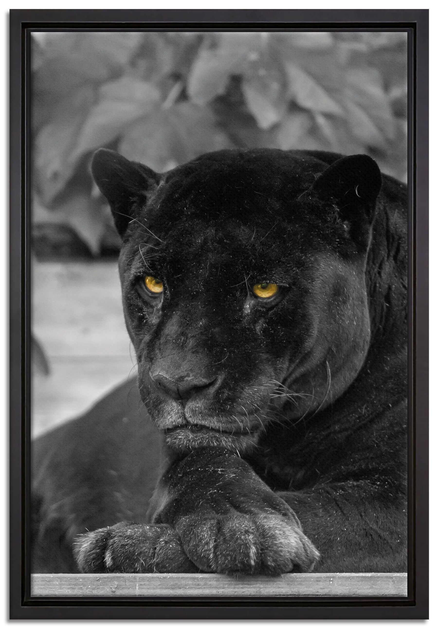 Pixxprint Leinwandbild schwarzer Panther, Wanddekoration (1 St), Leinwandbild fertig bespannt, in einem Schattenfugen-Bilderrahmen gefasst, inkl. Zackenaufhänger