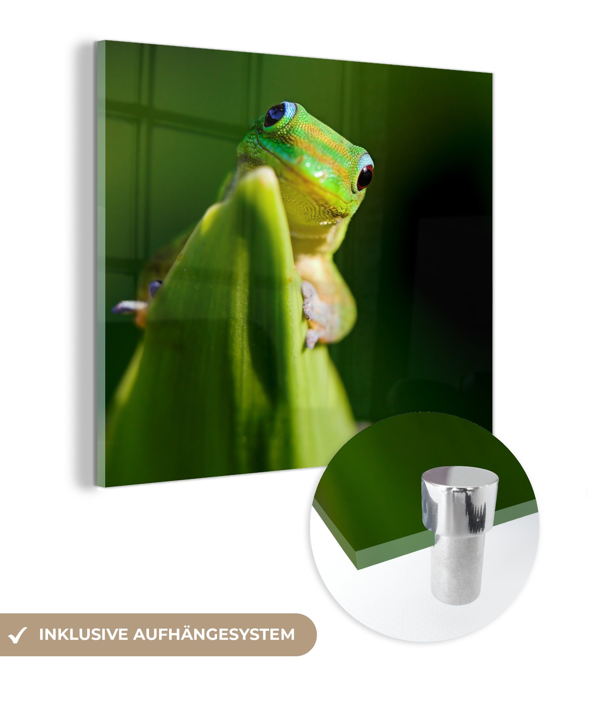 MuchoWow Acrylglasbild Lachender Gecko auf einem Blatt, (1 St), Glasbilder - Bilder auf Glas Wandbild - Foto auf Glas - Wanddekoration