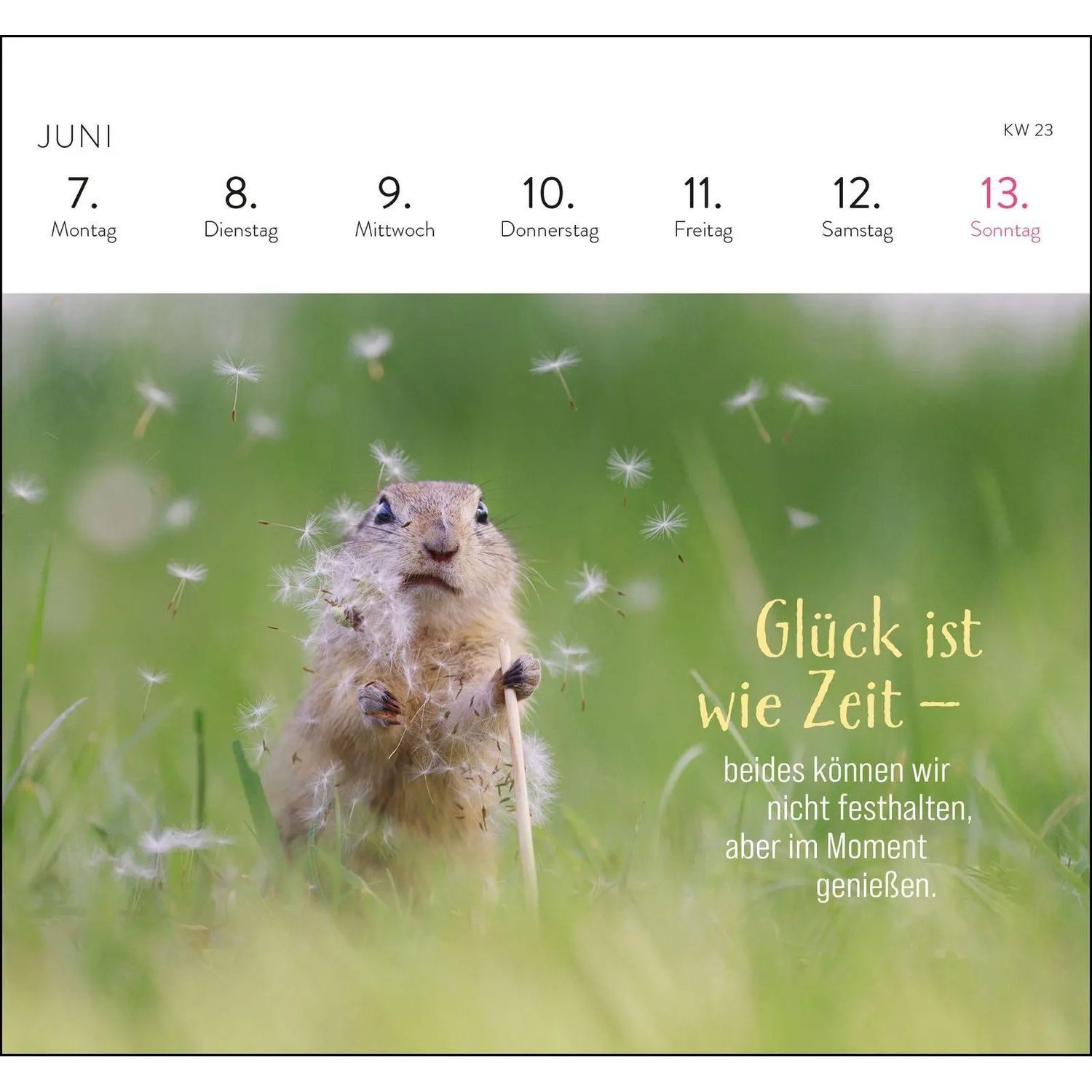 groh Verlag Tischkalender Postkartenkalender 2027: Kleine Glücksbringer für dein Jahr