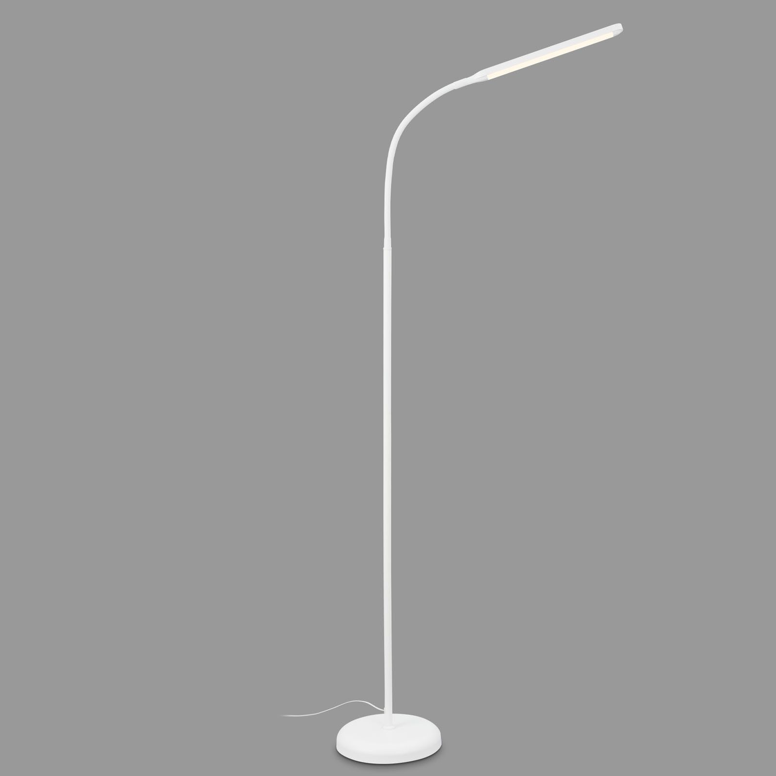 Briloner Leuchten Stehlampe Stehleuchte PIVAZ – Bild 3 von 5