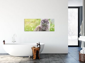 Pixxprint Glasbild Katze in der Wildnis, Katze in der Wildnis (1 St), Glasbild aus Echtglas, inkl. Aufhängungen und Abstandshalter