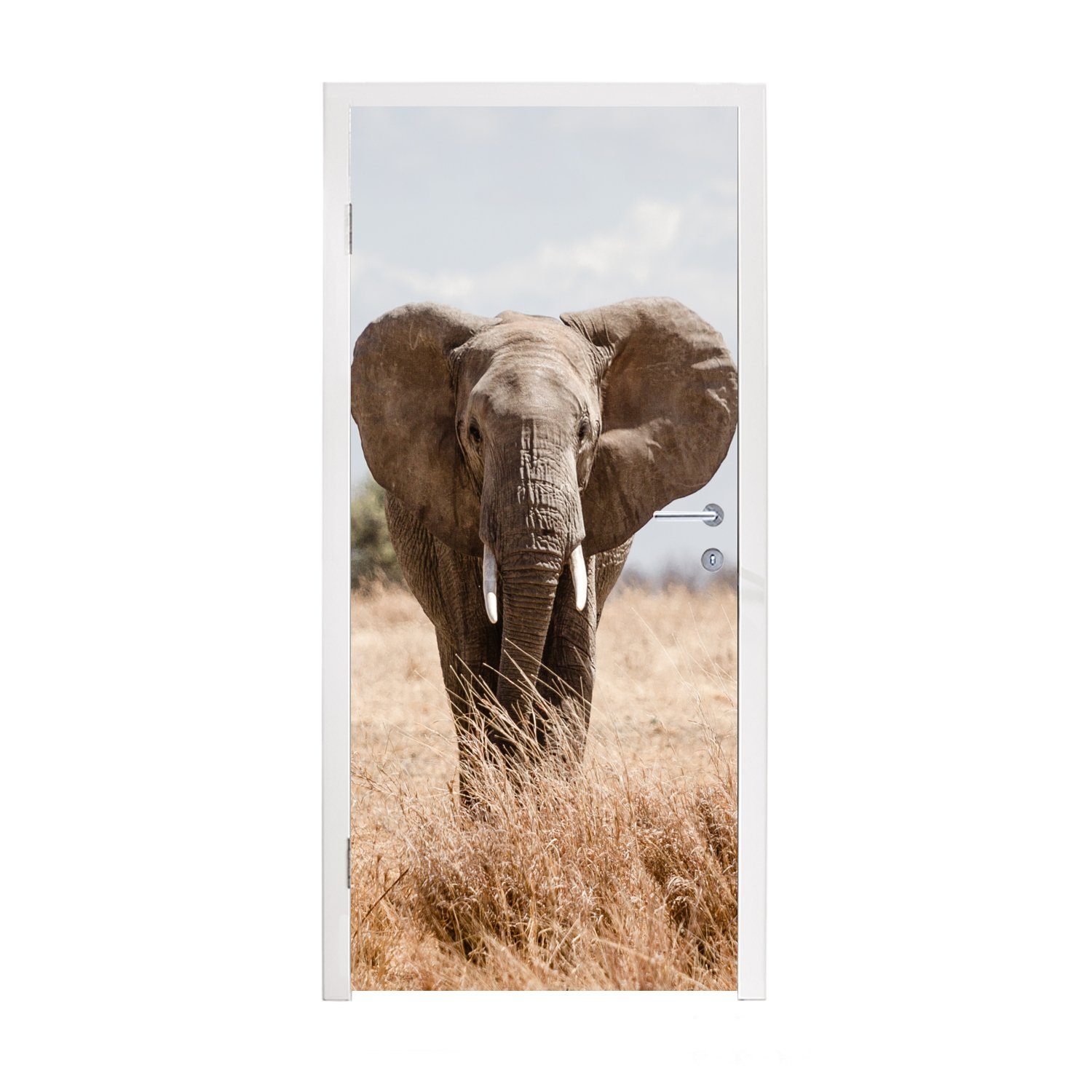 Türaufkleber, cm St), Tiere Elefant Porträt, - Fototapete MuchoWow (1 Tür, 75x205 - Matt, - Türtapete für bedruckt, Natur