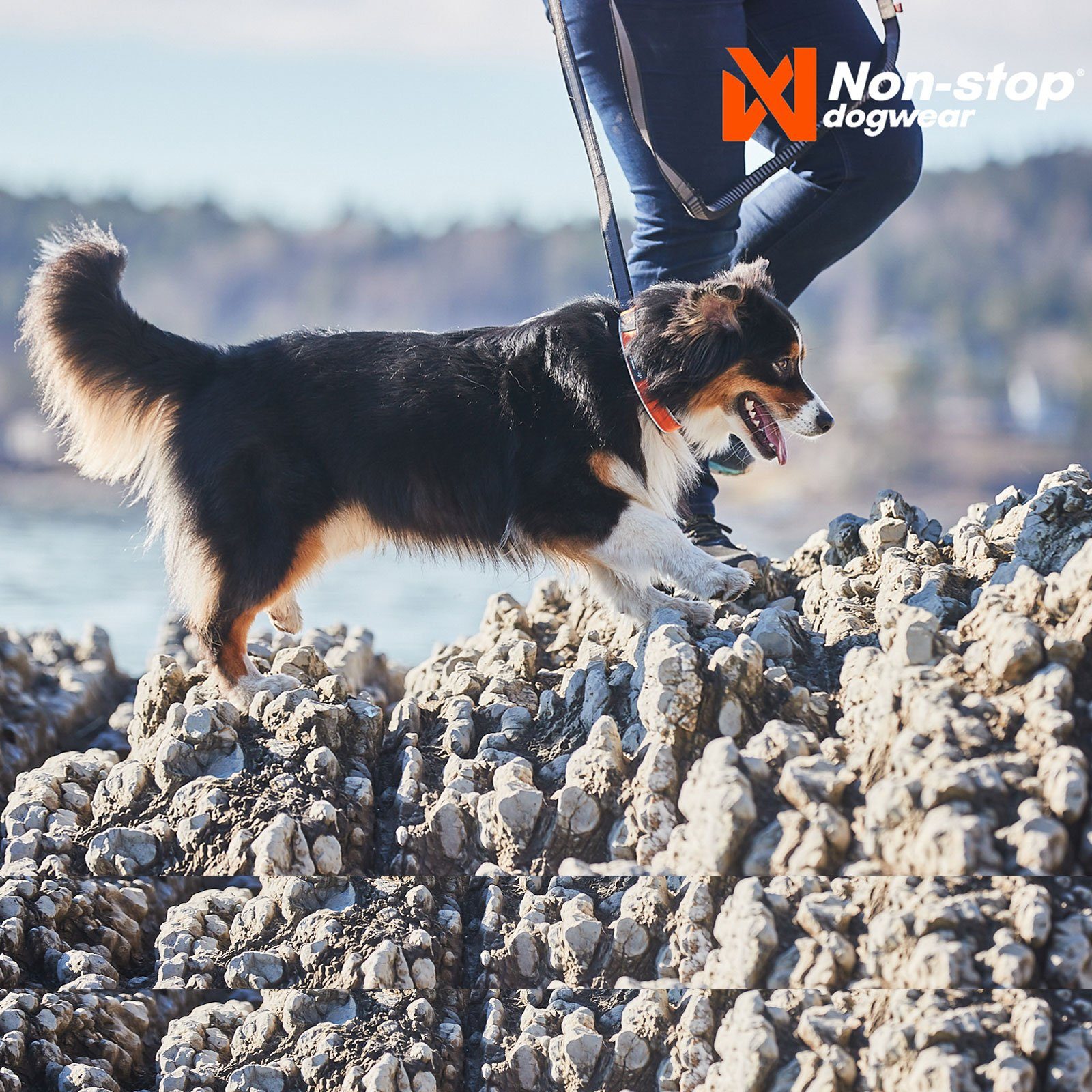Non-stop dogwear Hunde-Halsband CRUISE Collar orange, Webbing: Nylon Inner material: Neopren Threads: Nylon Aluminum D-ring, Gut gepolstertes Hundehalsband mit Zugstopp-Funktion