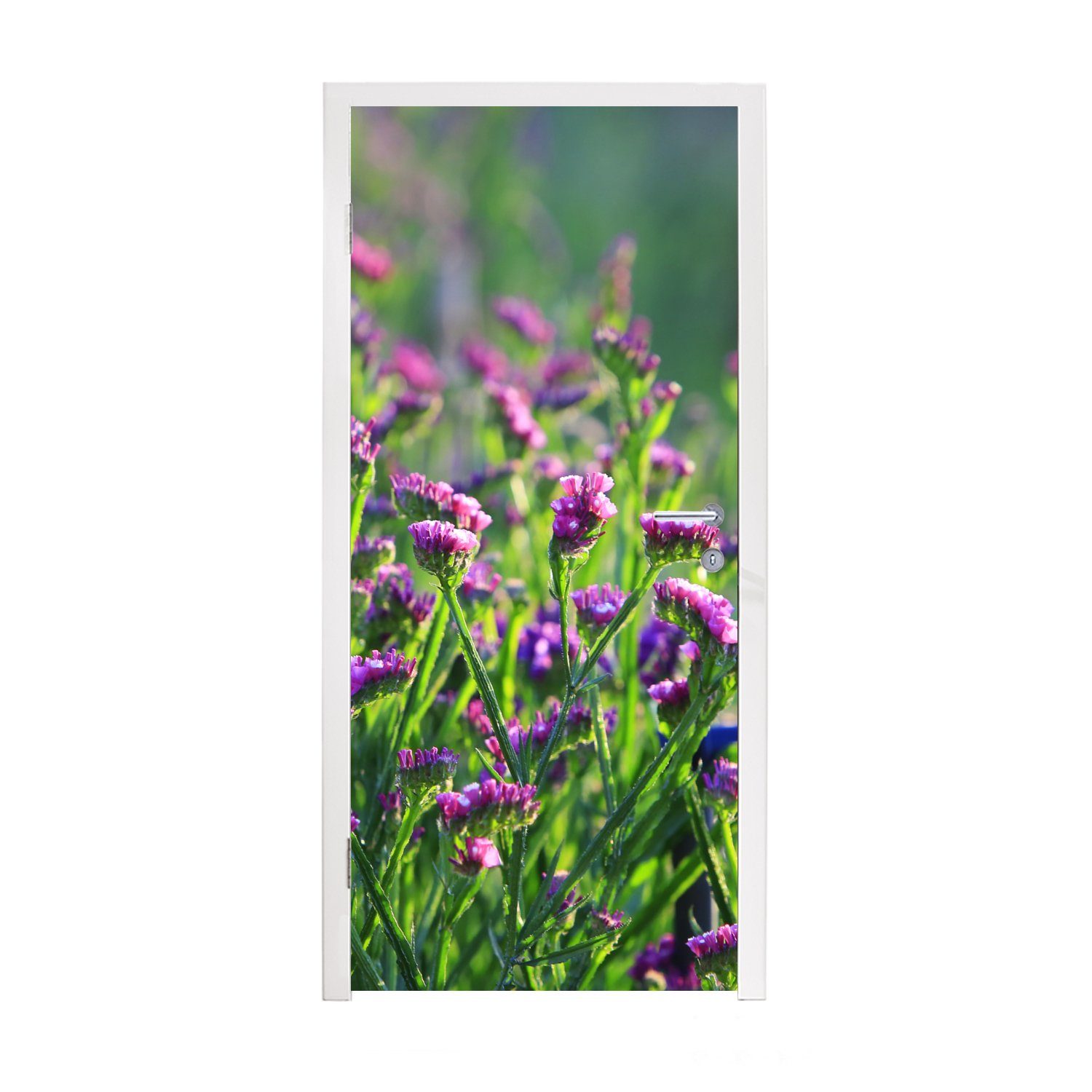 Tür, Fototapete Matt, Lila hohen Türaufkleber, Türtapete Gras, MuchoWow im (1 cm Limonium-Pflanzen St), bedruckt, für 75x205