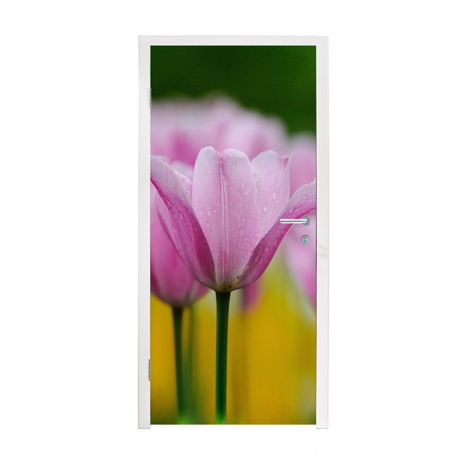 MuchoWow Türtapete Blumen - Tulpen - Rosa, Matt, bedruckt, (1 St), Fototapete für Tür, Türaufkleber, 75x205 cm