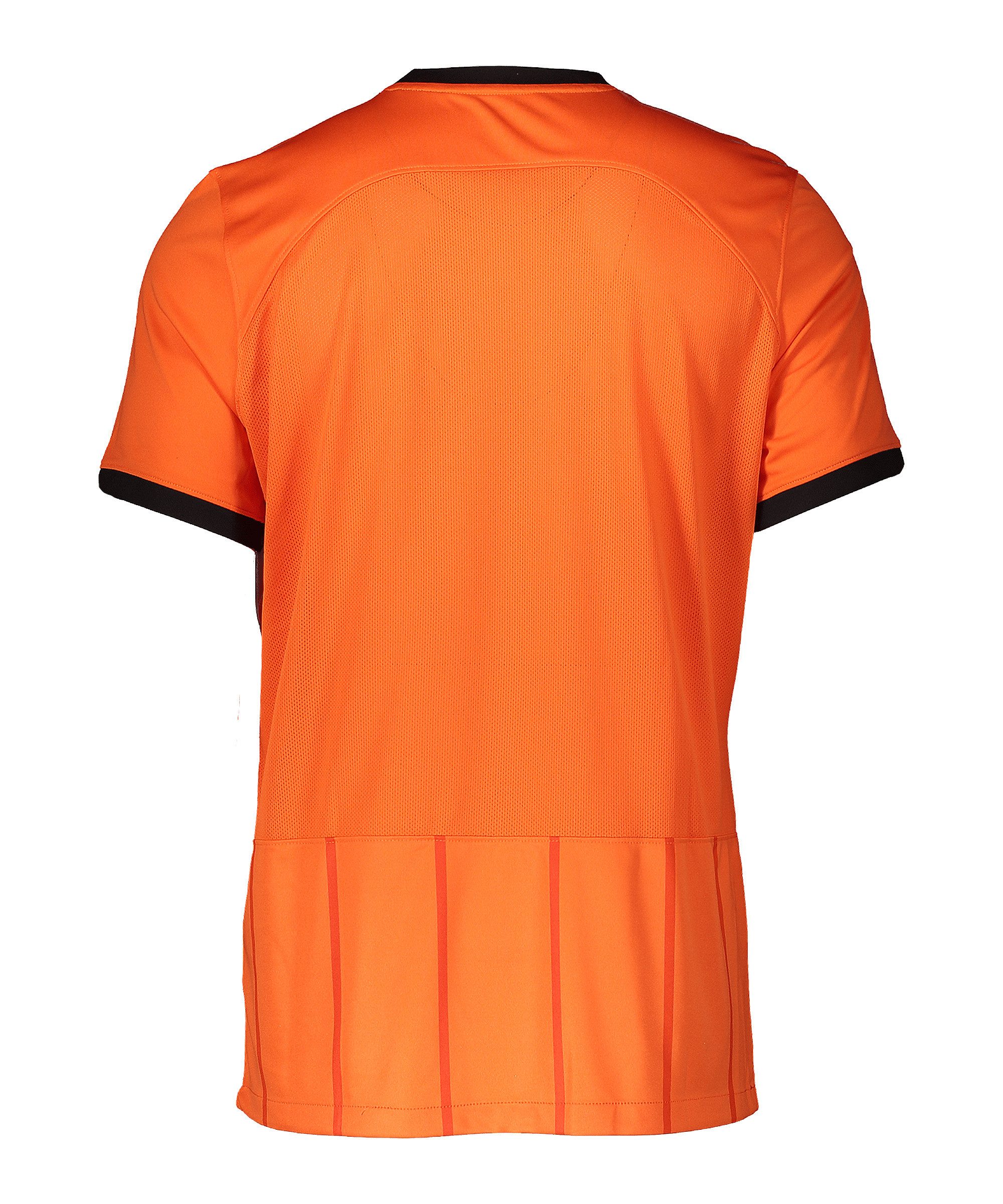 Nike Fußballtrikot Nike Performance Drifit CLSC GX1 Trikot Teamsport